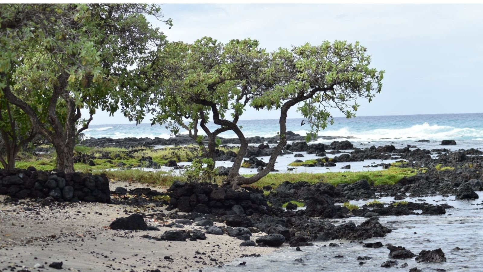 Tropical beach with trees, black rocks, green moss, sandy shore, and ocean waves in the background.