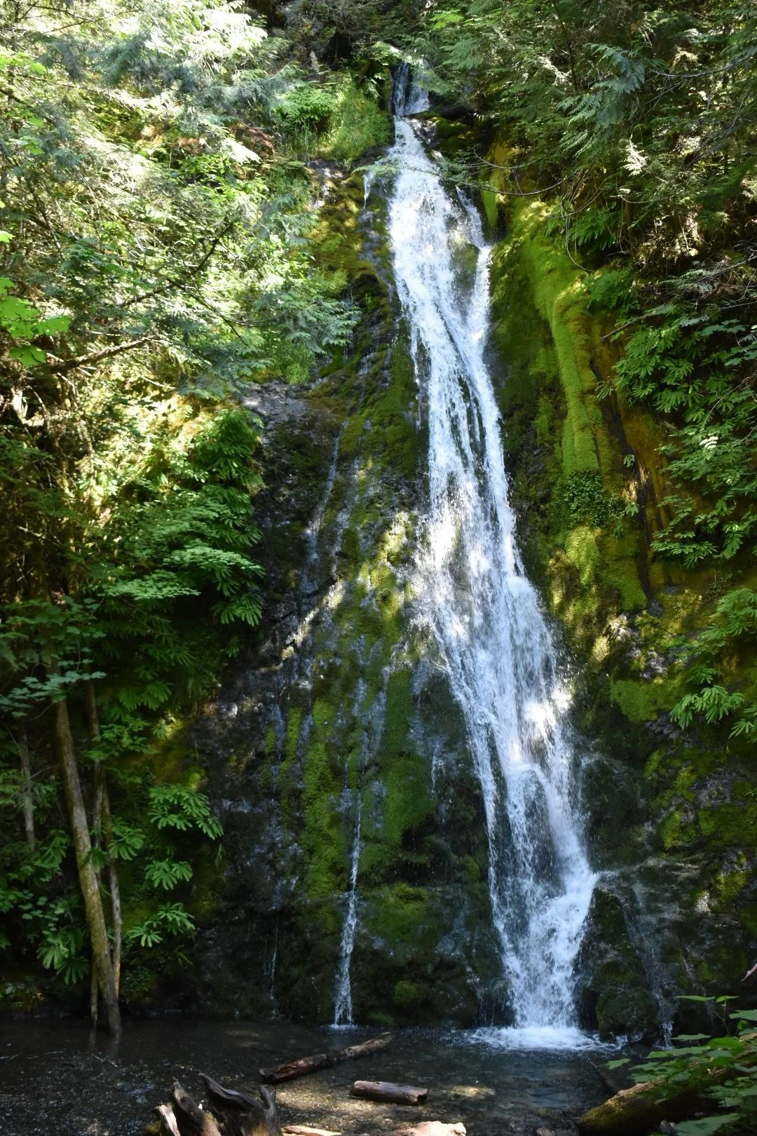 A tall, narrow waterfall flowing down a moss-covered rocky cliff surrounded by lush green trees and foliage.
