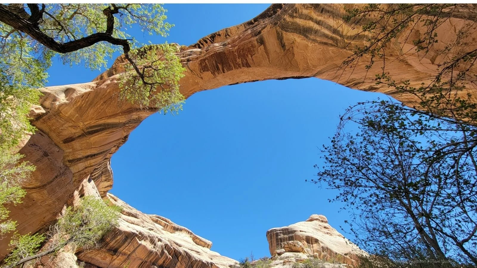 A natural rock arch formation with a clear blue sky visible through the opening, surrounded by green trees and desert vegetation.