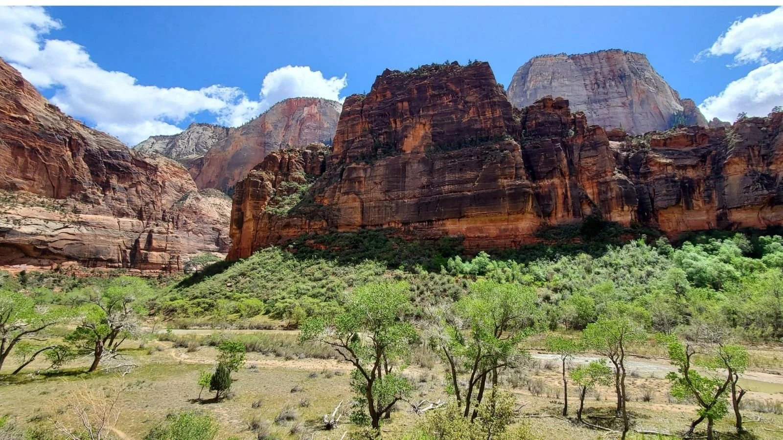 View of red and brown canyon cliffs with green trees and shrubs in the foreground under a blue sky with clouds.