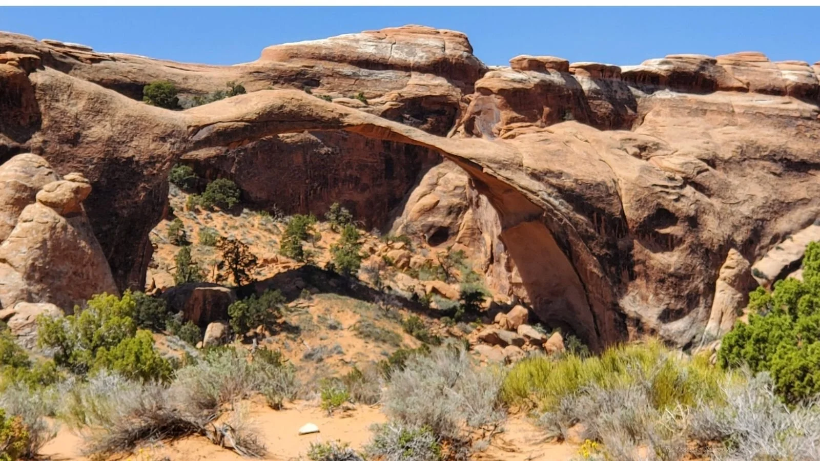 A landscape of red sandstone rock formations with natural arches and sparse desert vegetation under a clear blue sky.