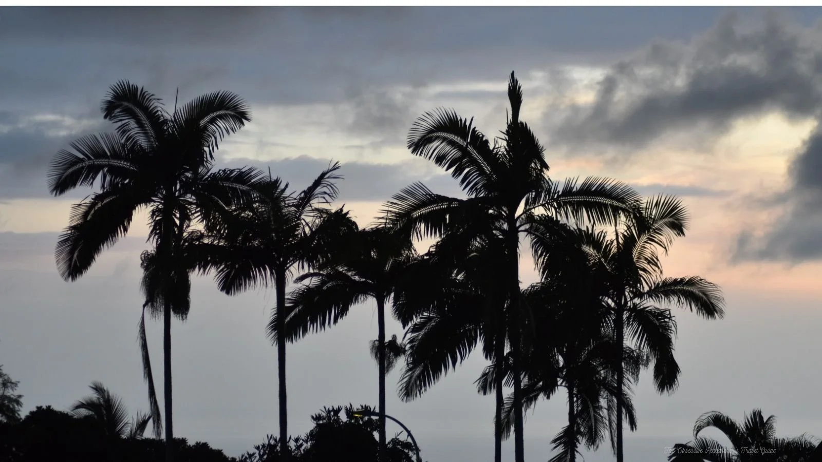 Silhouetted palm trees against an overcast sky during sunset.