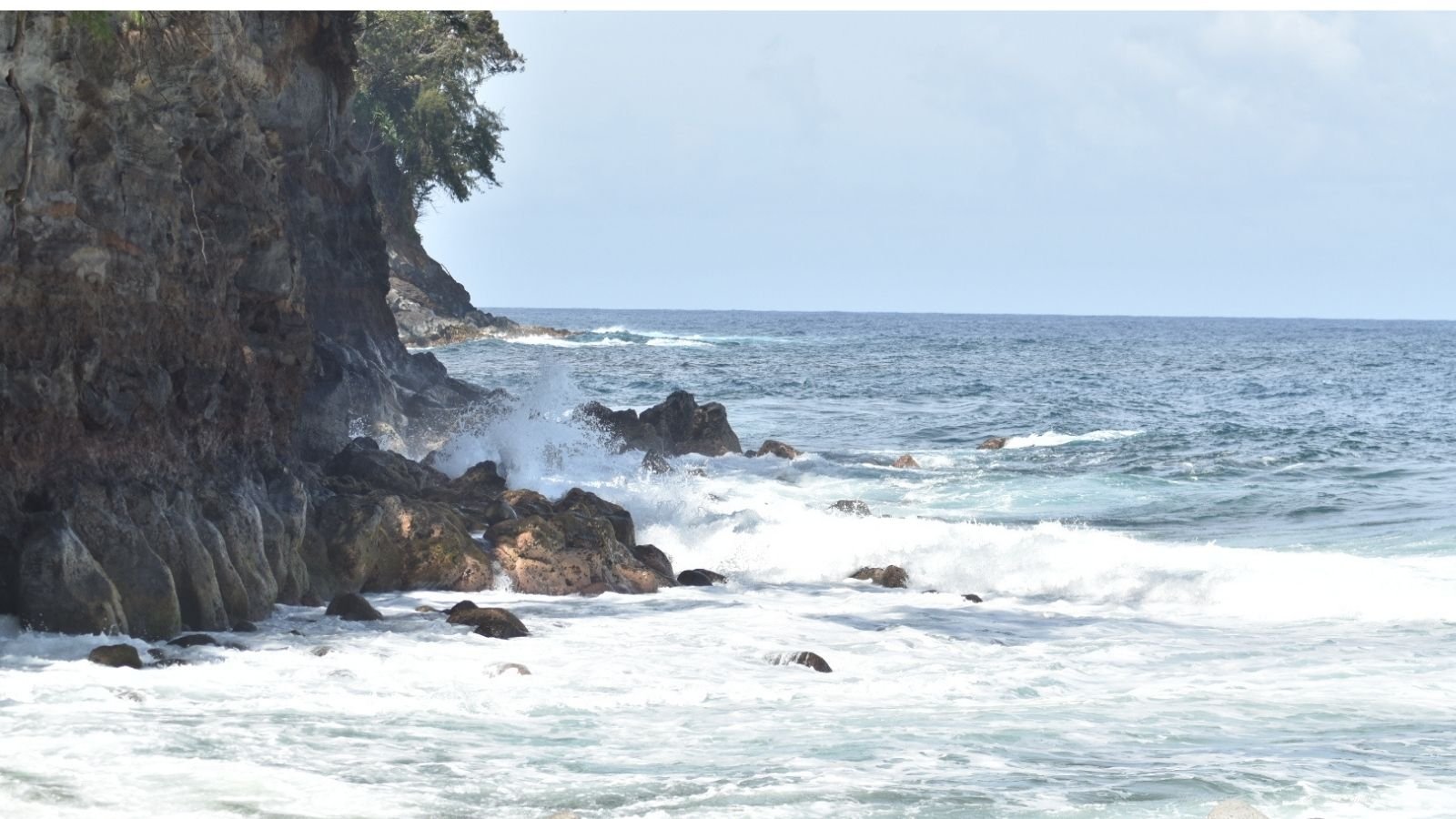 Ocean waves crashing against rocky cliff shore with trees at the top under a partly cloudy sky.