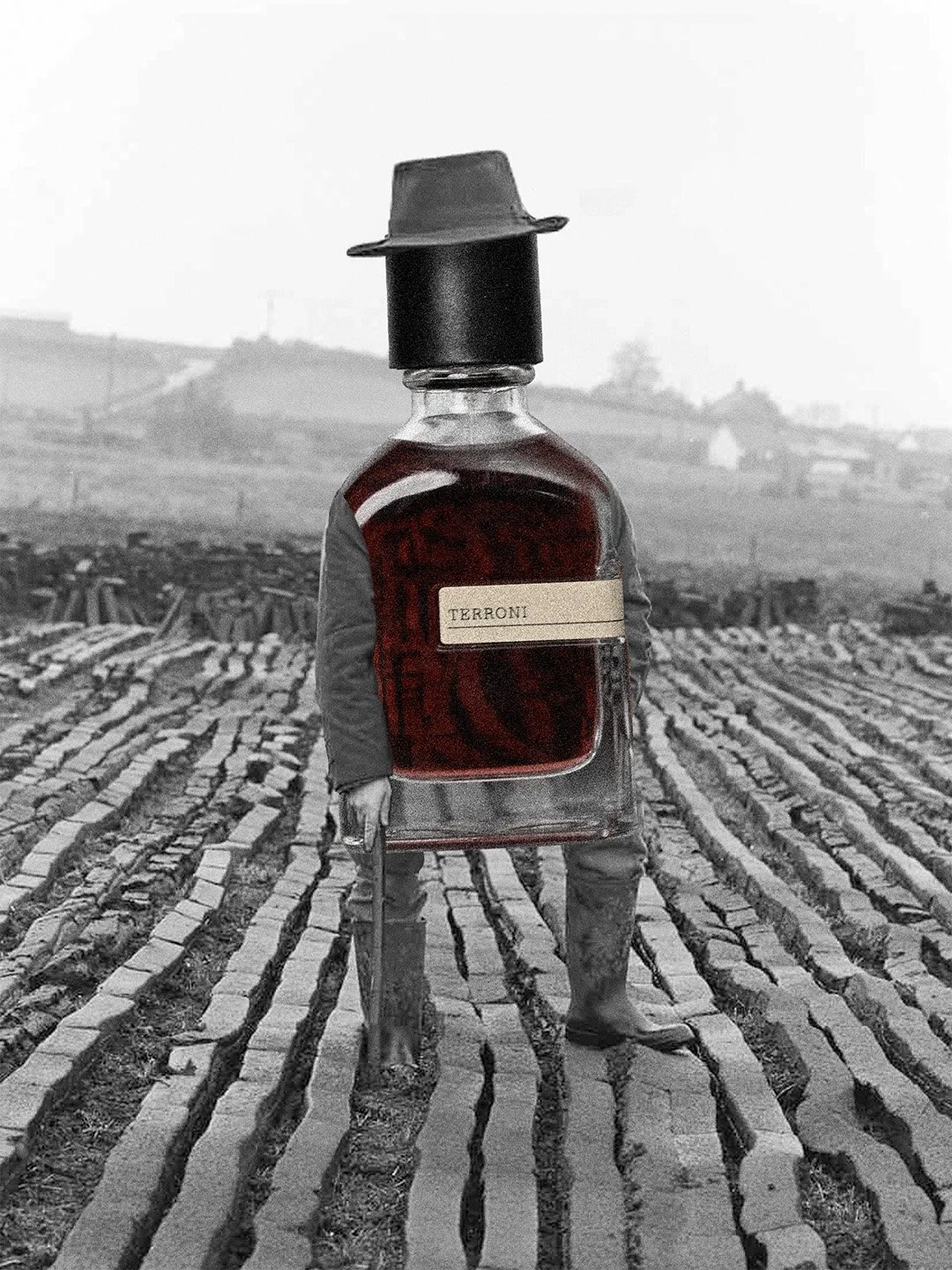 OP2640-Terroni.jpg