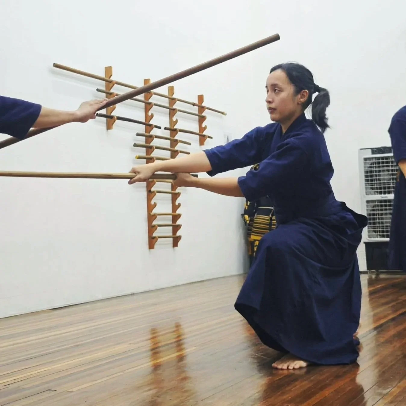 my first martial arts practice