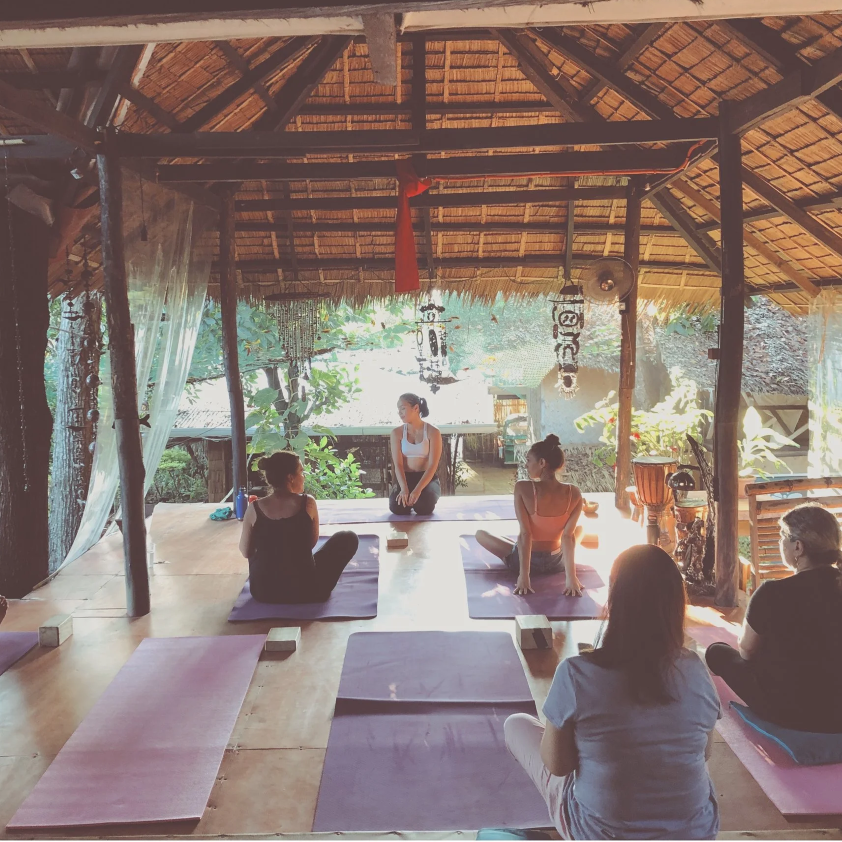 my raw vegan yoga cult