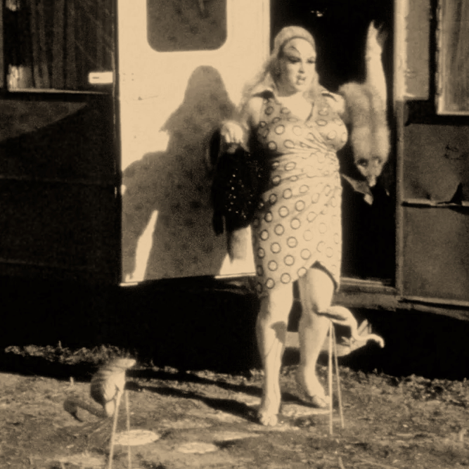 pink flamingos (1972)