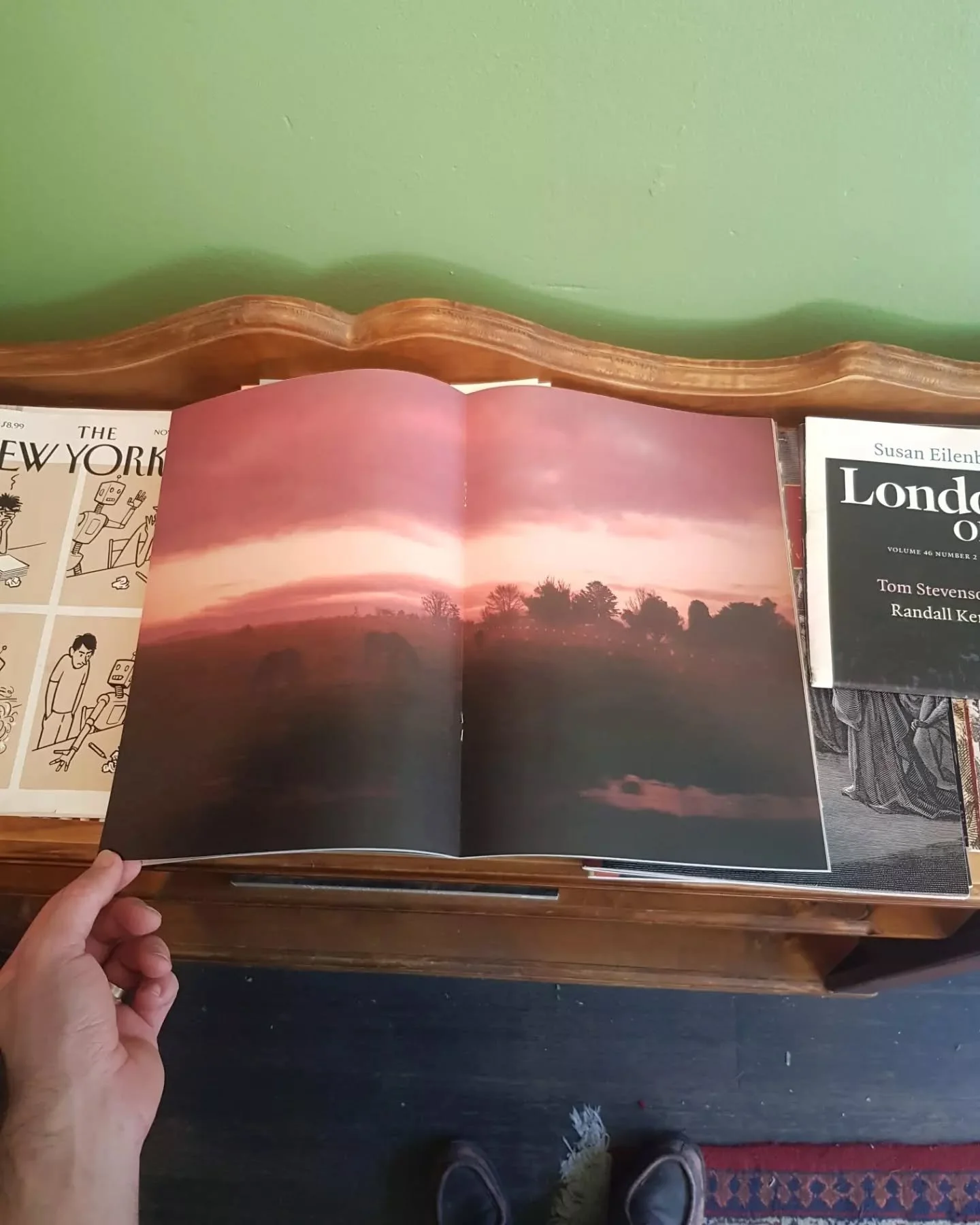 The Horse Lassitudes collab w/ Thom Sullivan
for Agony mag