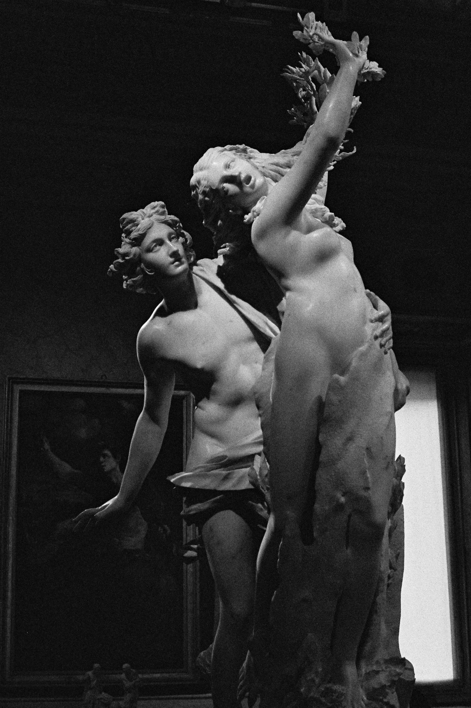Bernini, 35mm Film