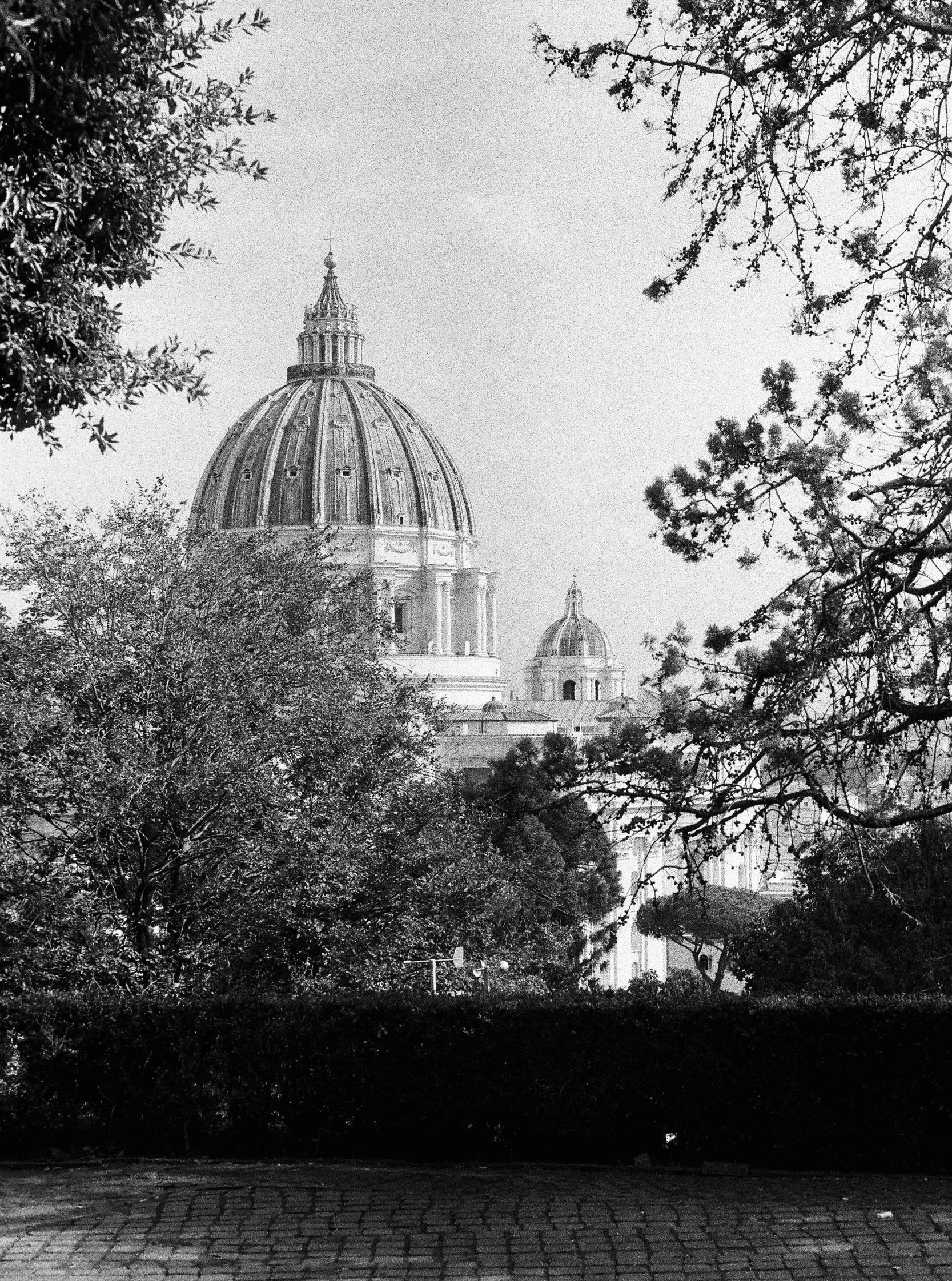 Vatican, 35mm Film