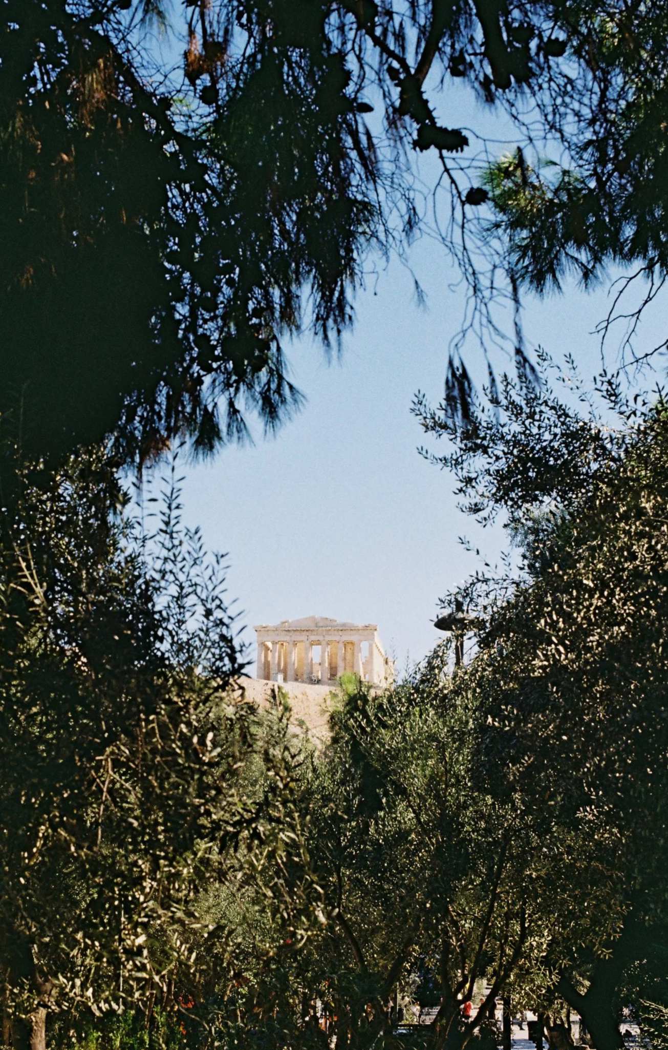 View of the Greek Parthenon temple on a hill, framed by tall trees in the foreground, under a clear blue sky.