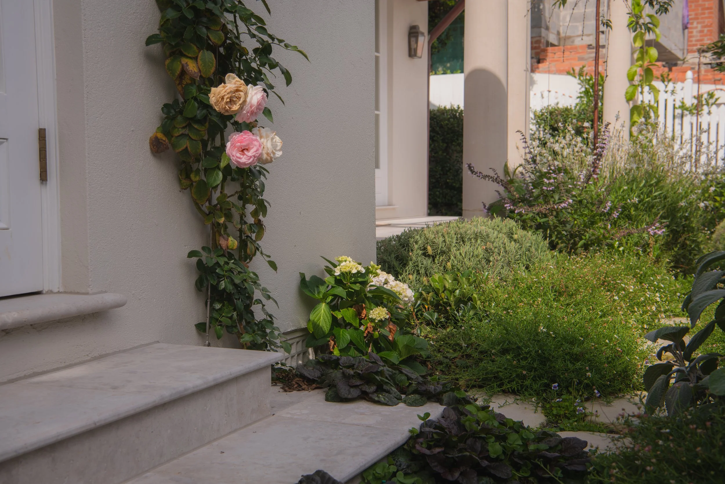 Work For MJSA Architects, Vaucluse