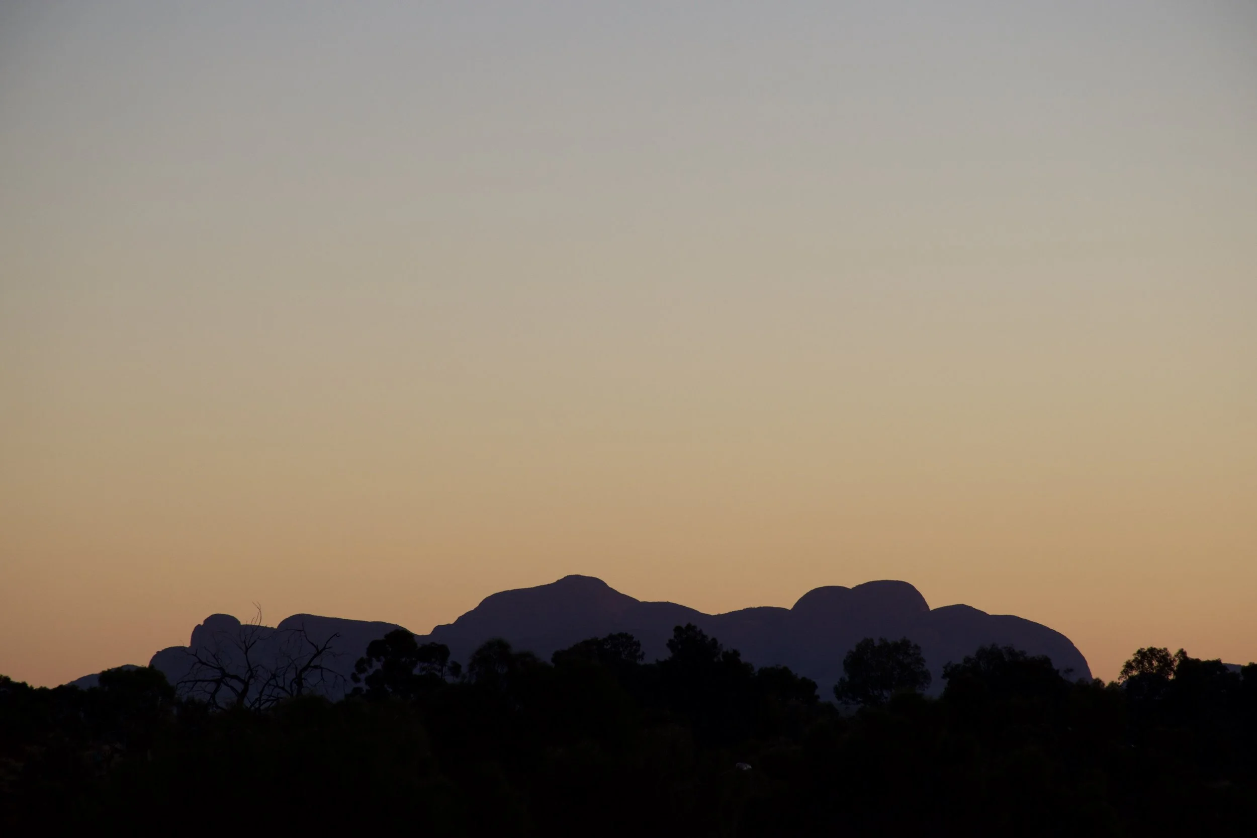 DSC_0178.jpg