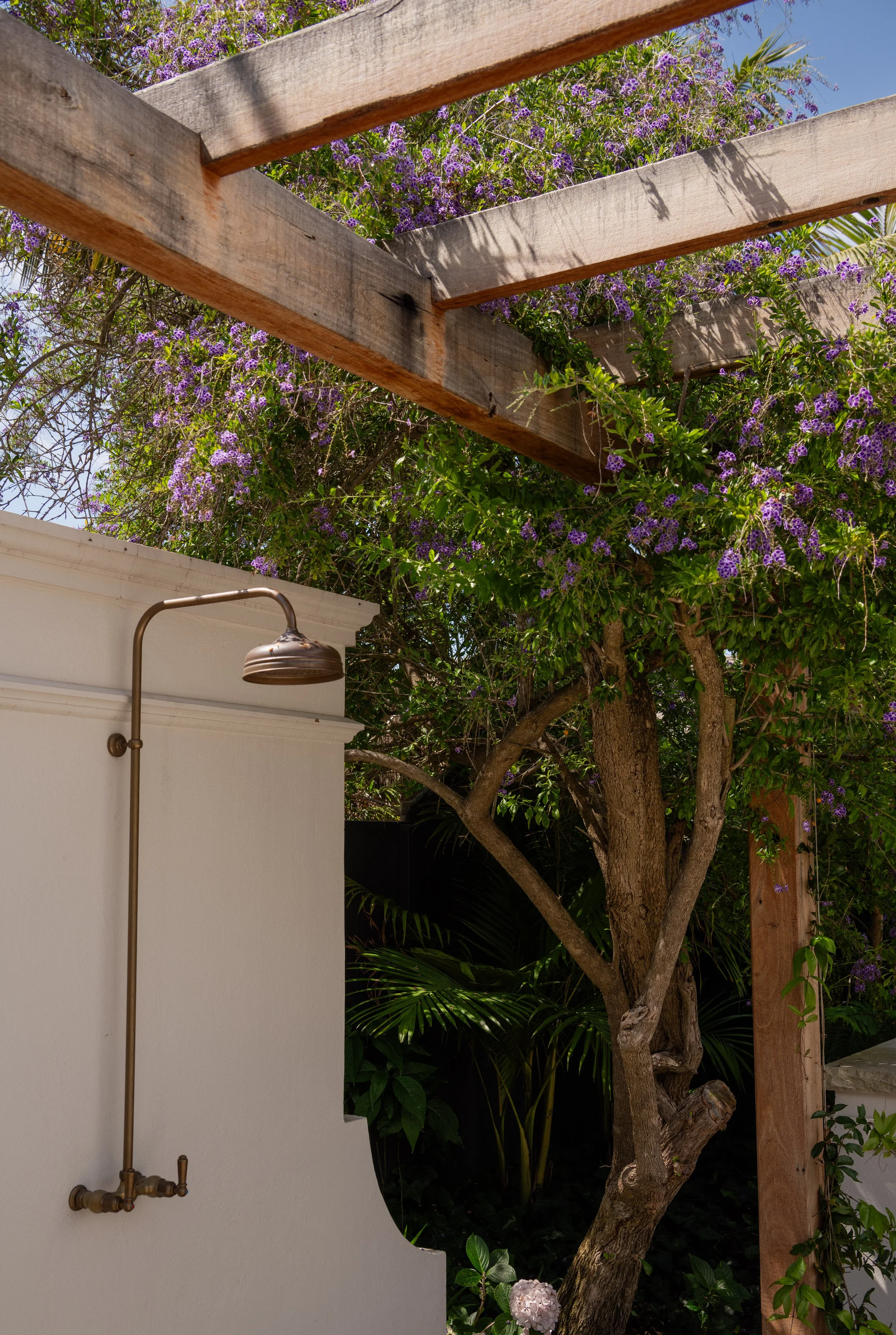 Work For MJSA Architects, Vaucluse