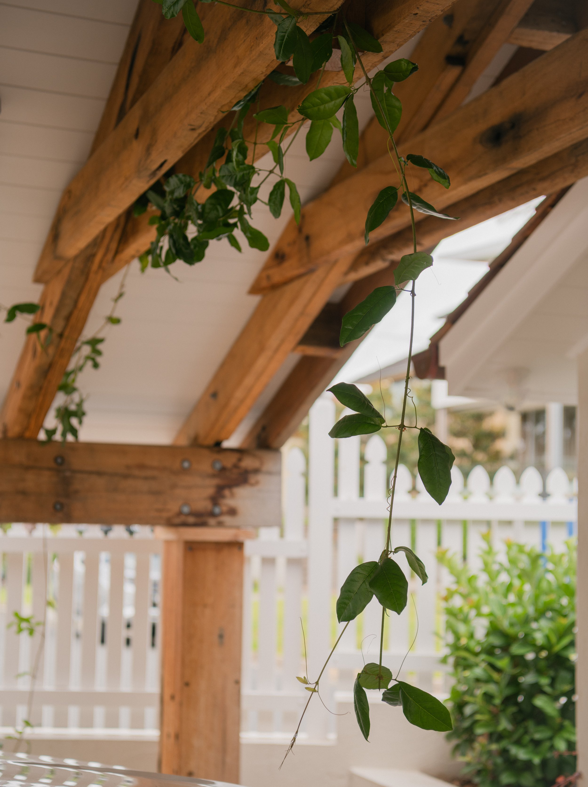 Work For MJSA Architects, Vaucluse
