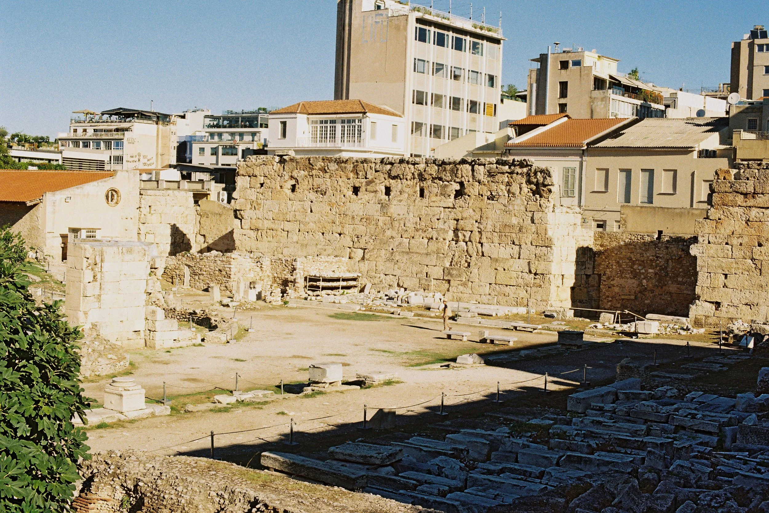 F1050035.JPG