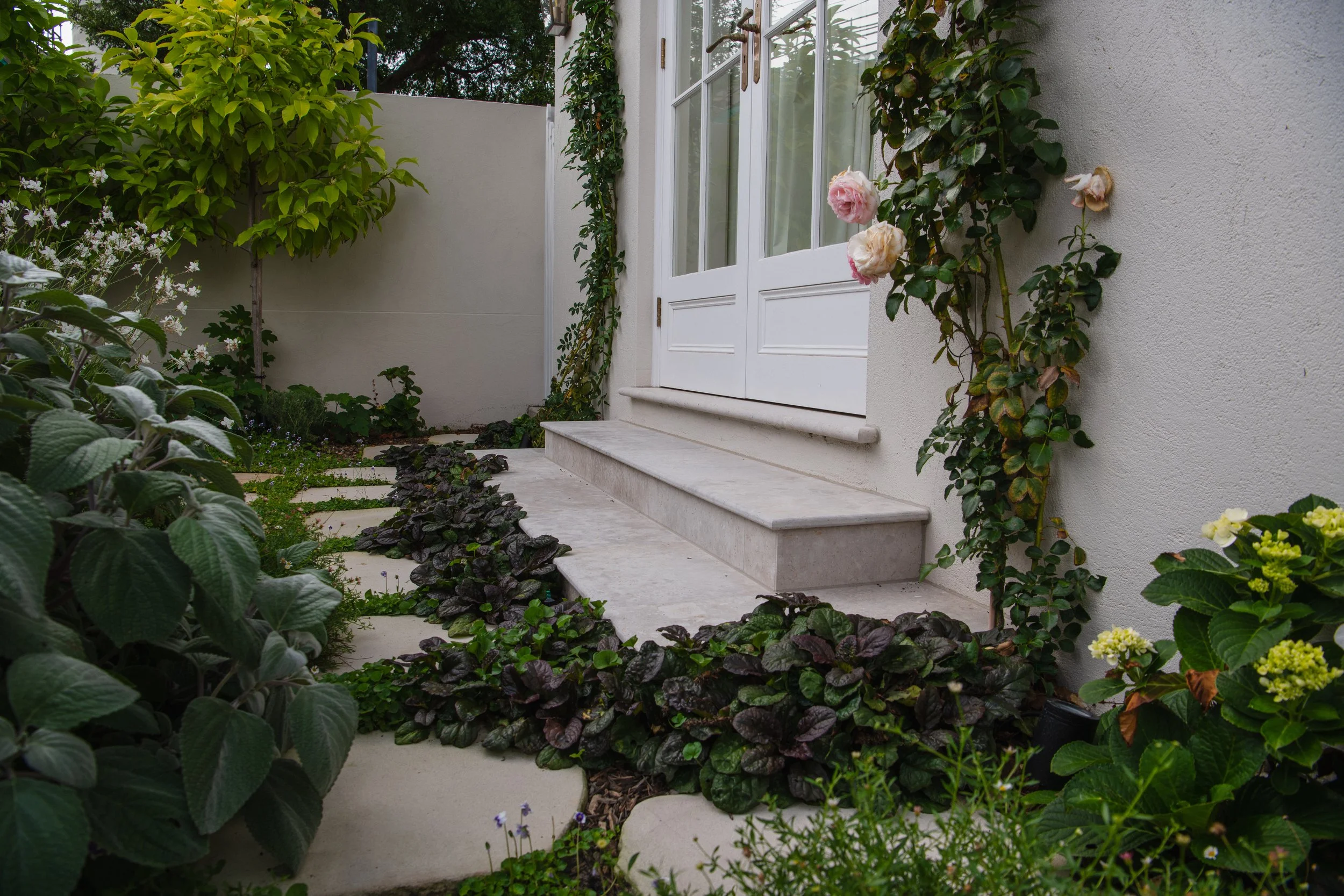 Work For MJSA Architects, Vaucluse