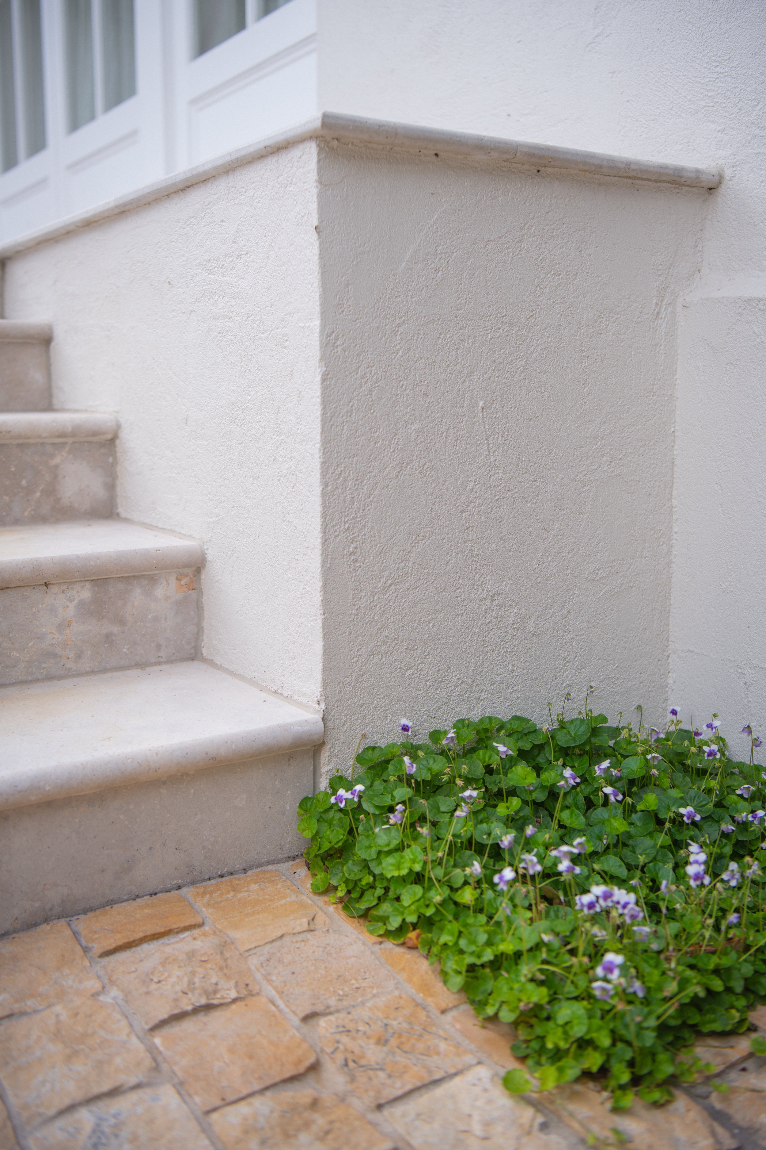 Work For MJSA Architects, Vaucluse