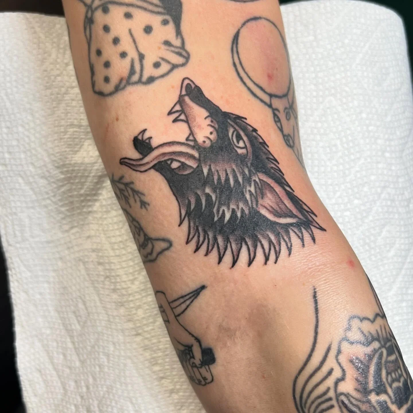 Tattoo of a howling or snarling wolf's head in black and gray ink with pink accents, on a person's arm.