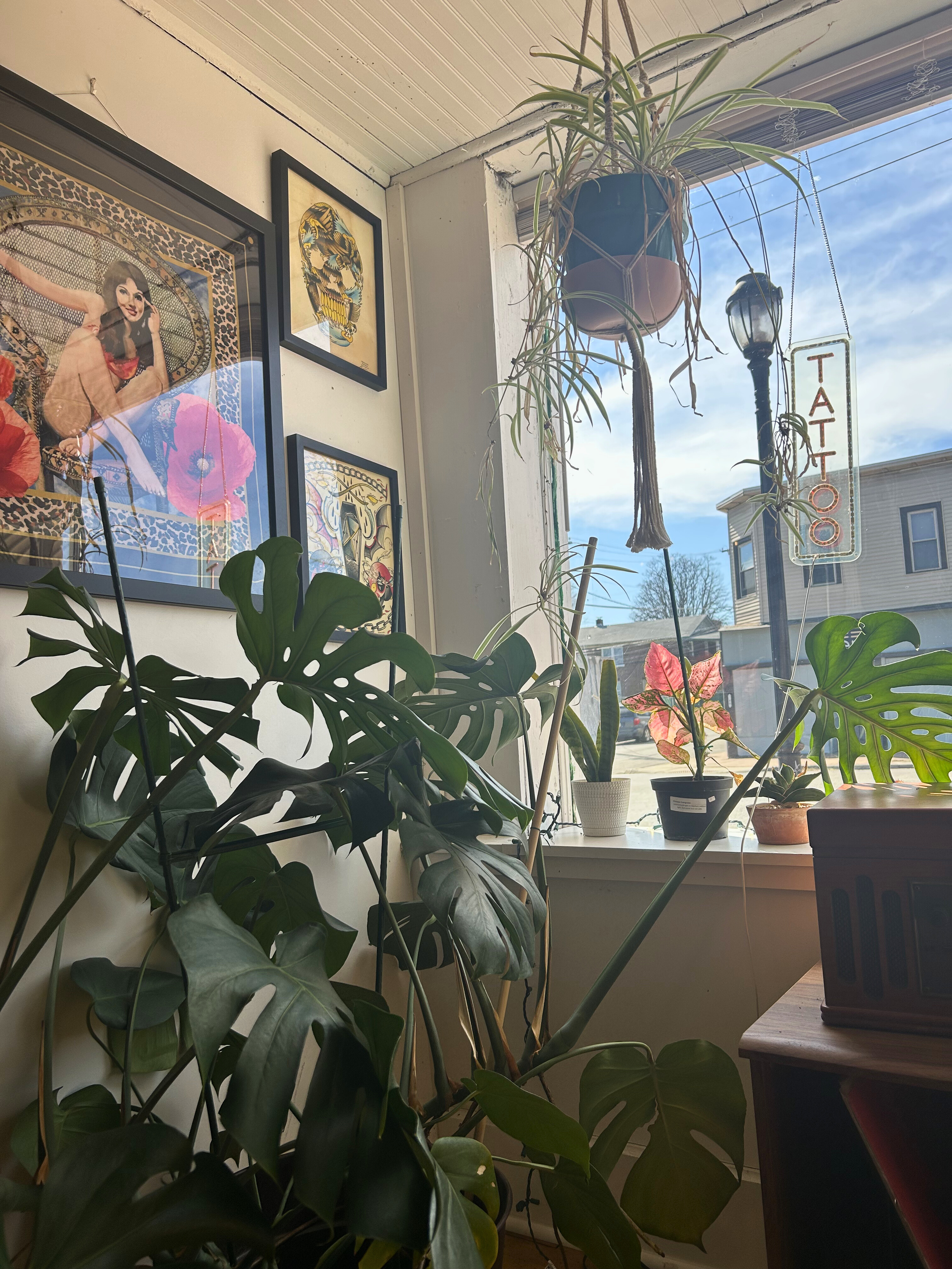 Indoor scene with houseplants on a windowsill and hanging, framed artwork on the wall, a tattoo sign hanging from a plant, and a view of the sky and neighboring houses outside the window.