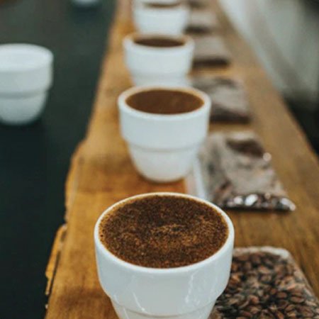 Coffee Cupping