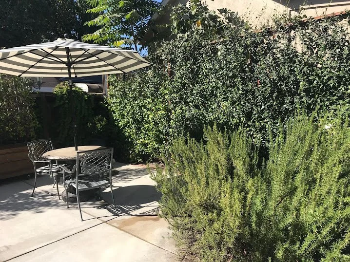 An outdoor patio scene with a round table, four metal chairs, and a large striped patio umbrella. There are tall green bushes and plants surrounding the area, with a concrete patio surface and a blue sky overhead.