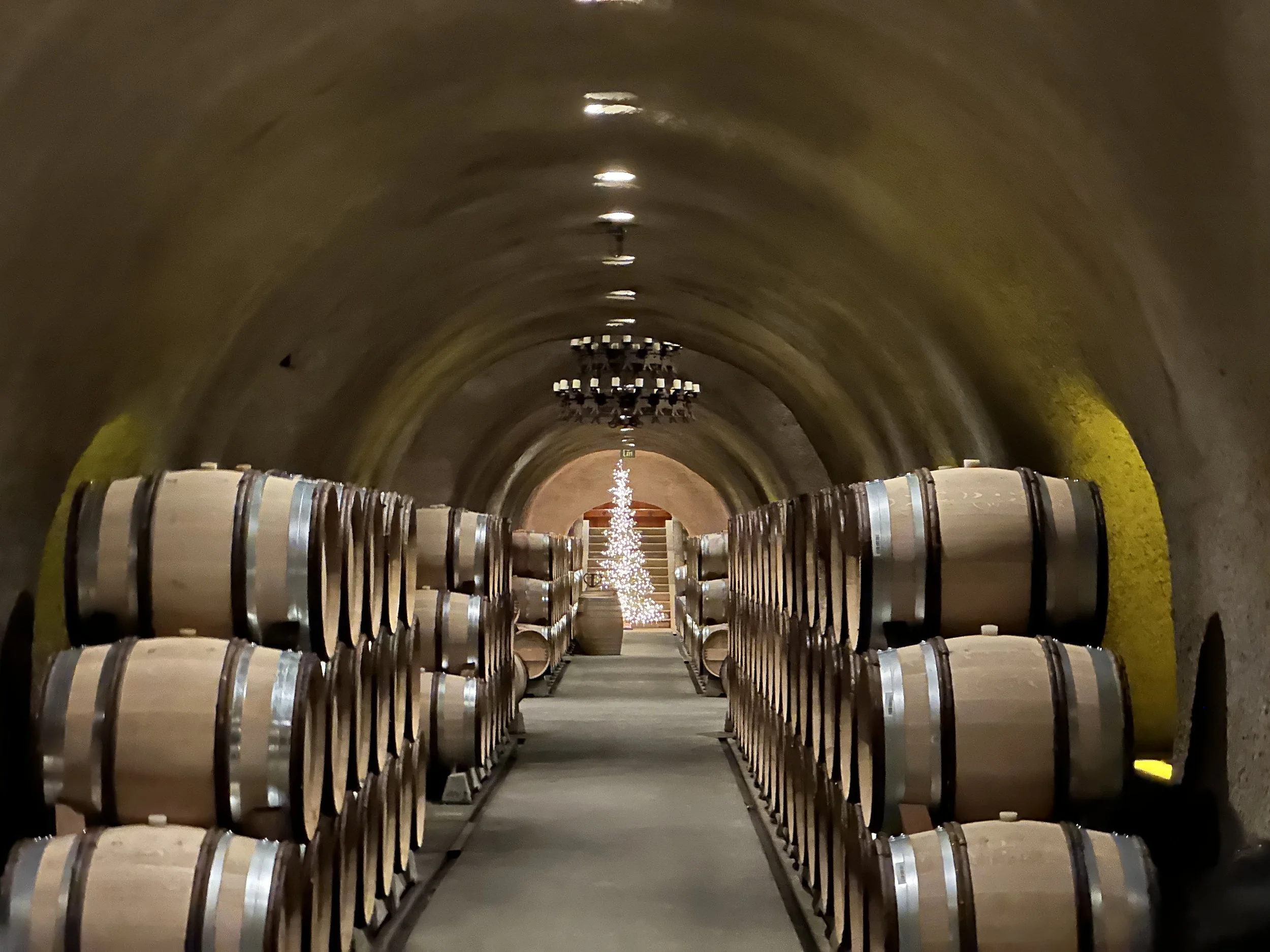 Wine barrels stacked in a wine cellar with a string of Christmas lights and a chandelier hanging from the arched ceiling.