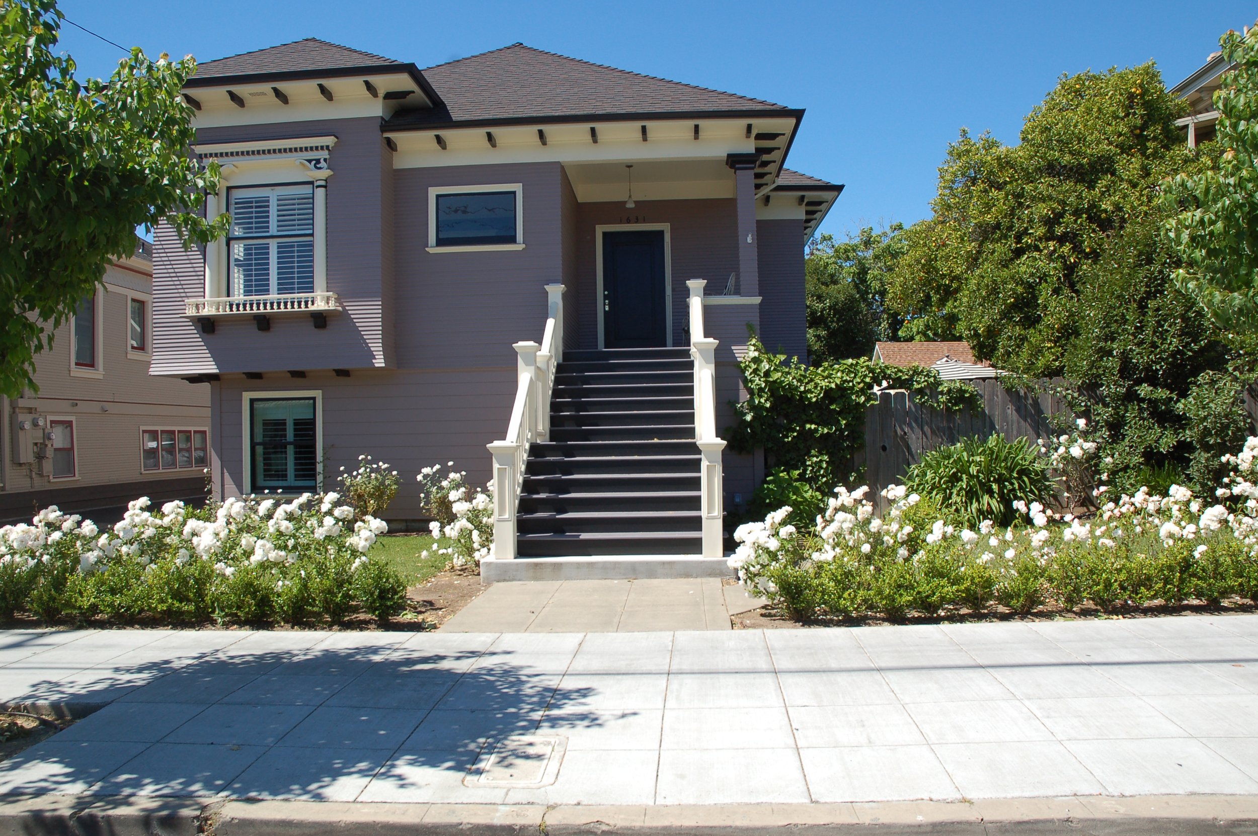 Front view of a purple two-story house with white trim and a black door, front stairs with white railings, surrounded by white flowering bushes and green trees, under a clear blue sky.