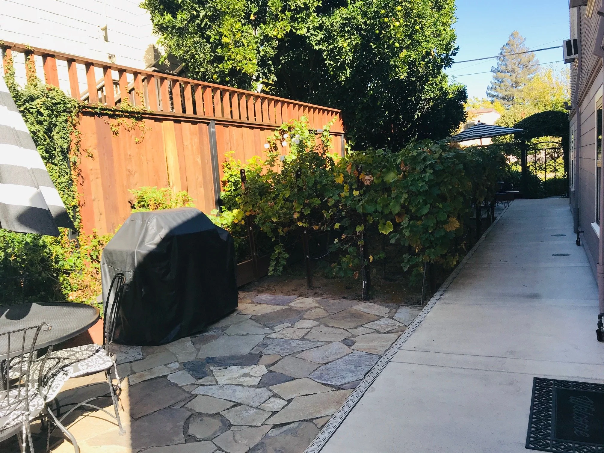 A backyard patio area with outdoor furniture, a covered grill, stone and concrete paving, and a wooden fence, surrounded by trees and plants.