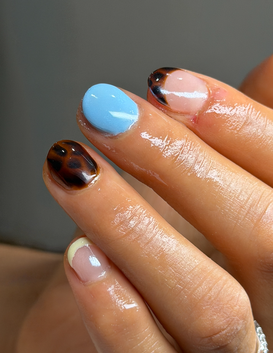 Close-up of a hand with manicured nails featuring various animal print and solid color designs.