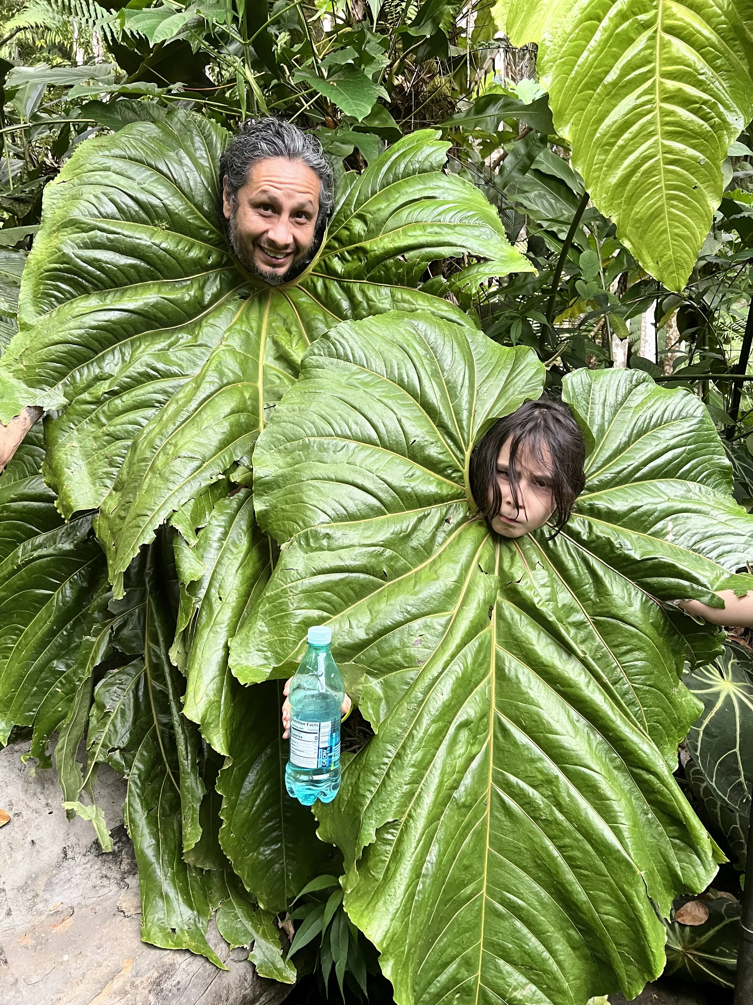 A man and a child with faces edited onto large green tropical leaves, as if they are inside or emerging from the foliage, with the man holding a water bottle.