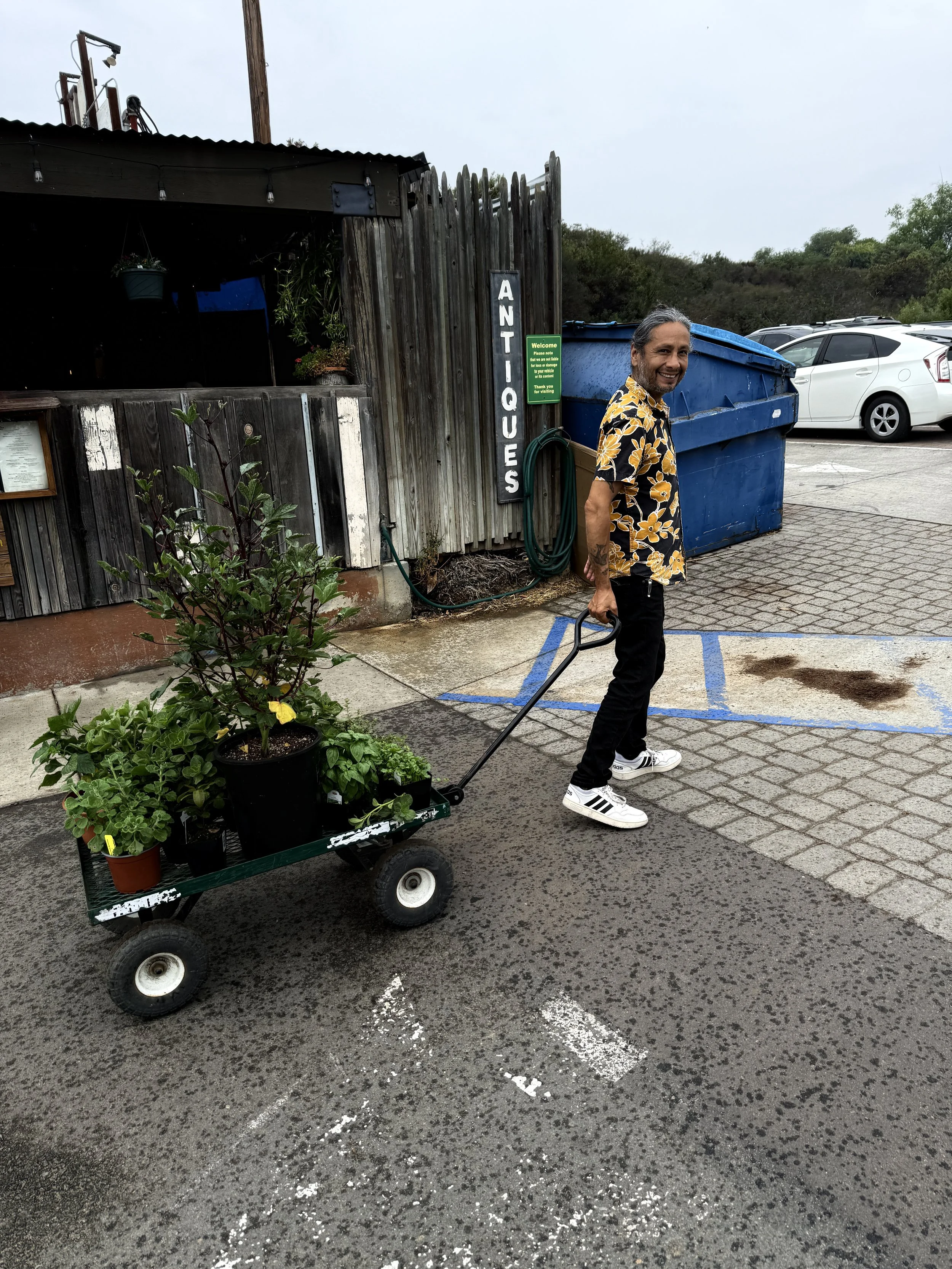 A man with long gray hair and a beard, wearing a yellow Hawaiian shirt with black pants and white sneakers, is pulling a wagon filled with potted plants near an antique store entrance. The background shows a wooden fence, some parked cars, and a blue