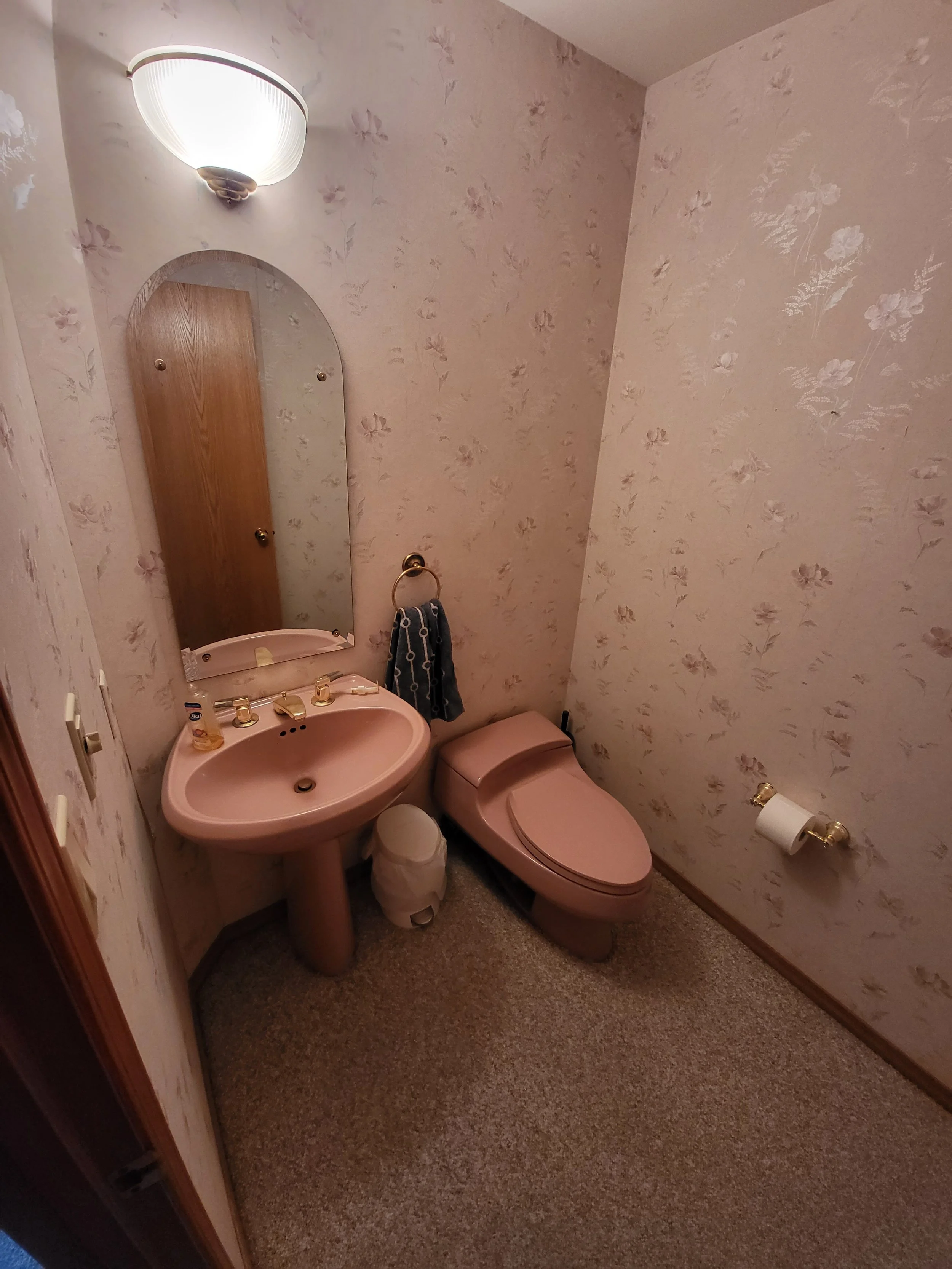 Outdated Powder Room