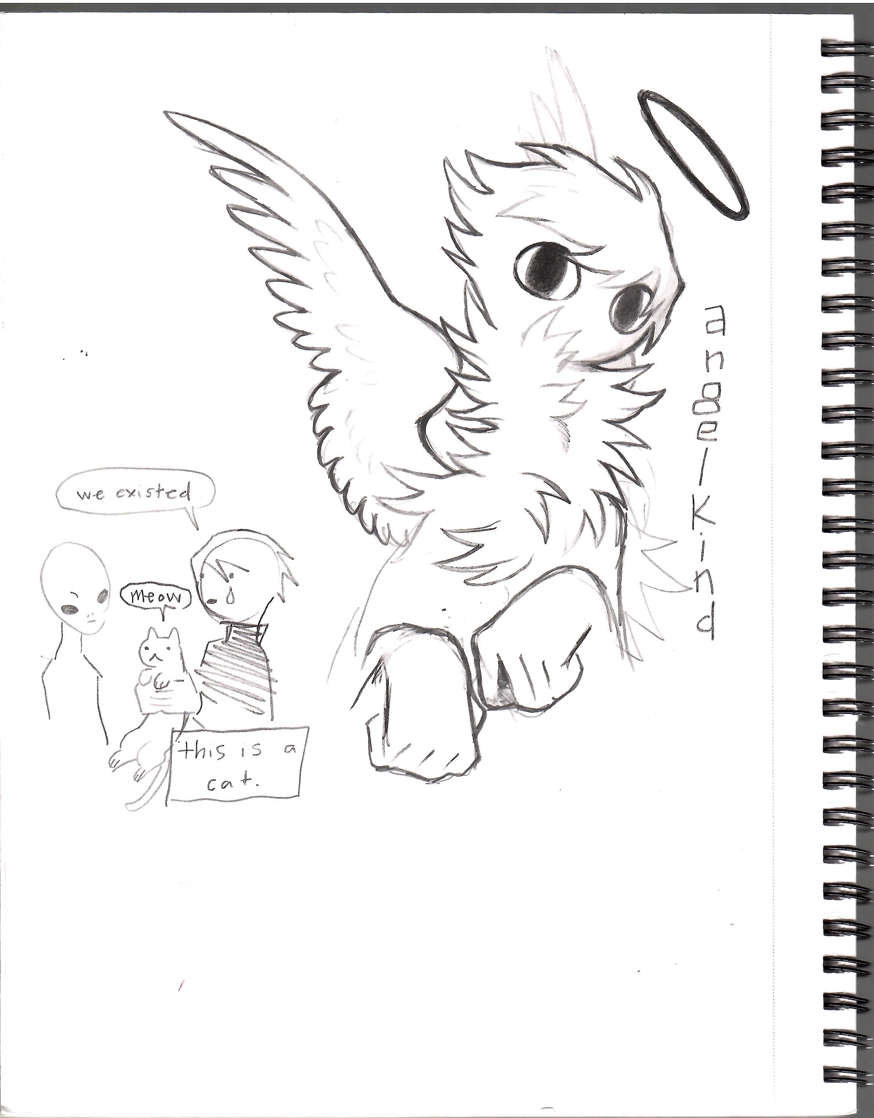 page 24.5