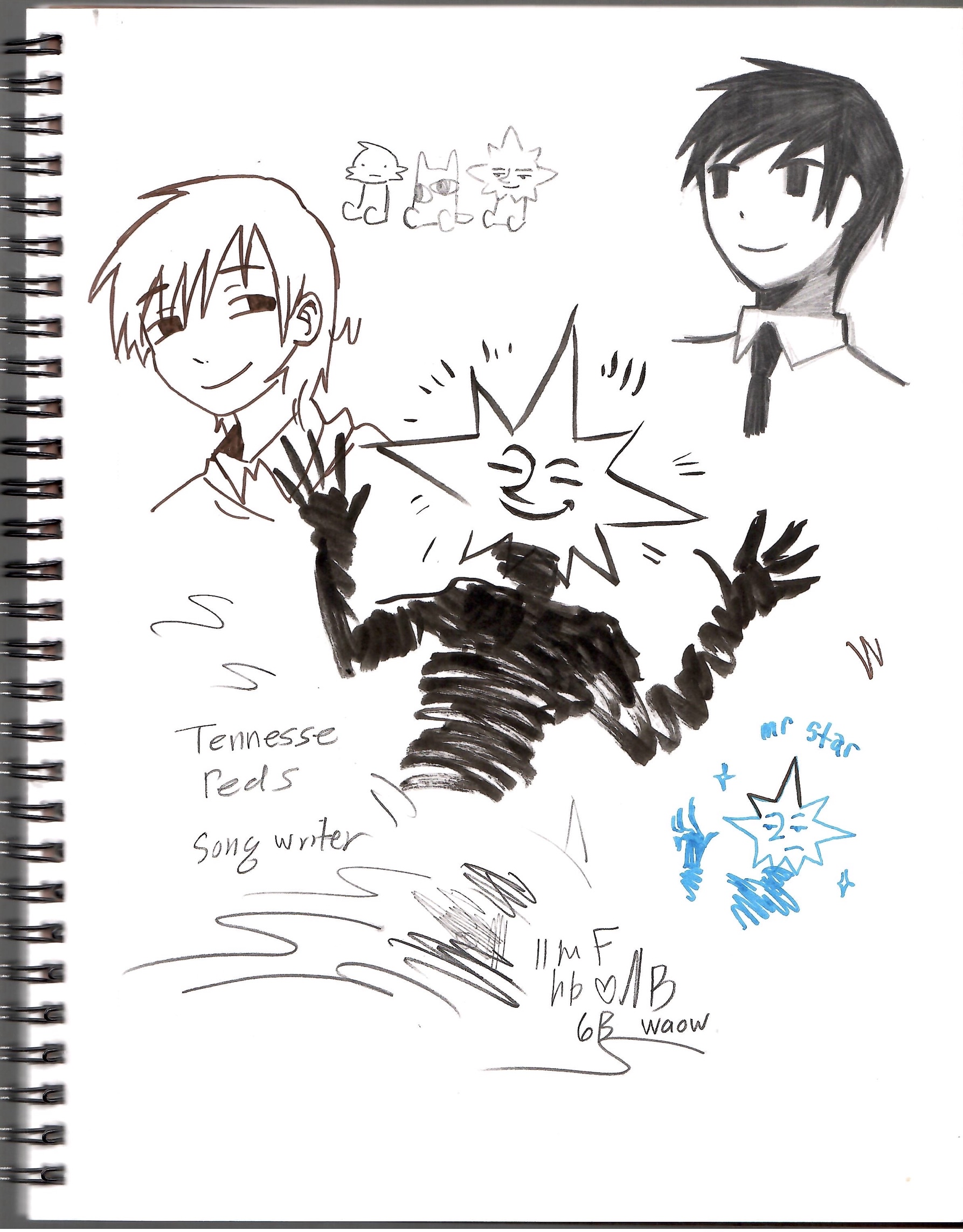 page 22 - Top left drawing of SOL was drawn by my partner.