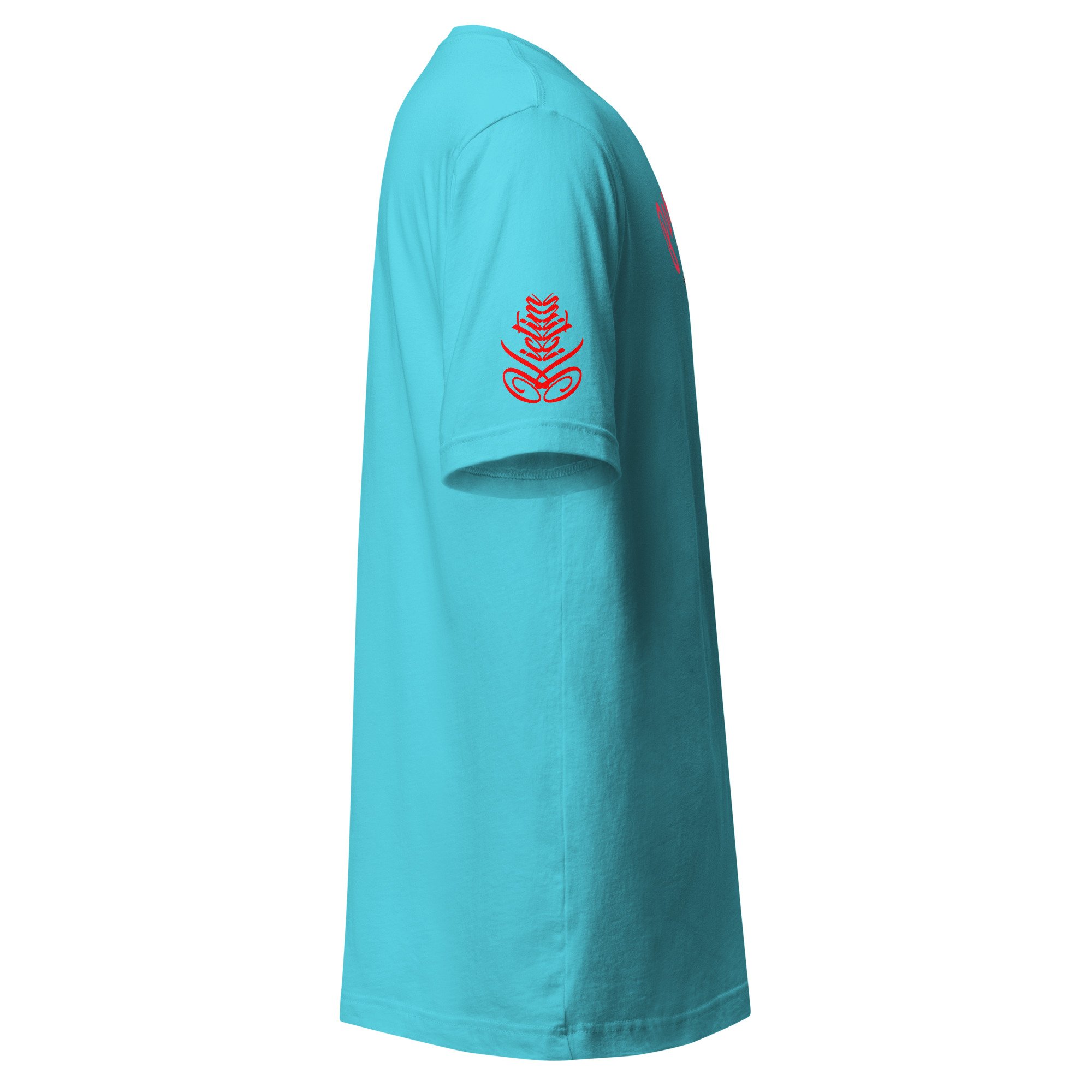 unisex-staple-t-shirt-turquoise-right-6a595e513adef.jpg
