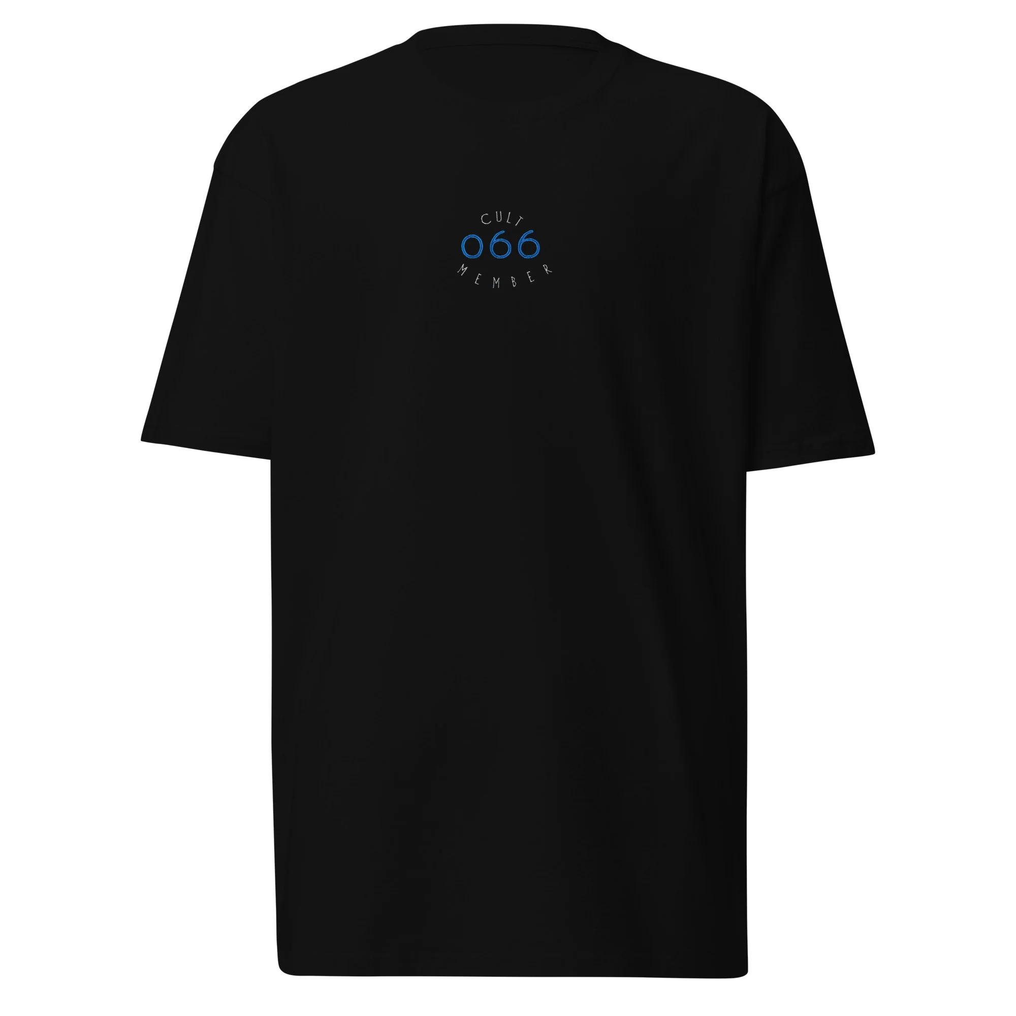 mens-premium-heavyweight-tee-black-front-6a7a541c99a21.jpg