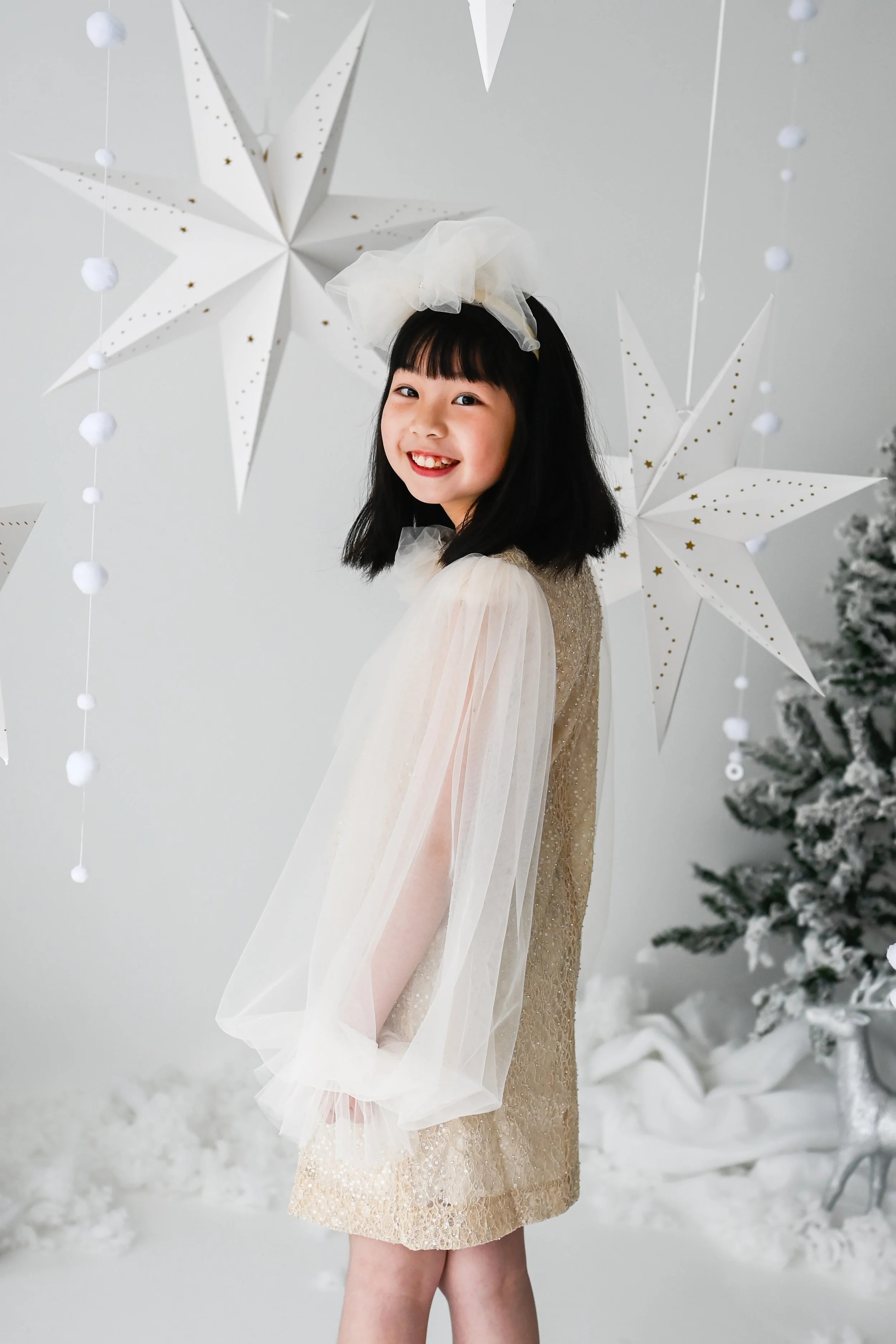 Girls Bishop Tulle Long Sleeve Lace Dress With Detachable Brooch