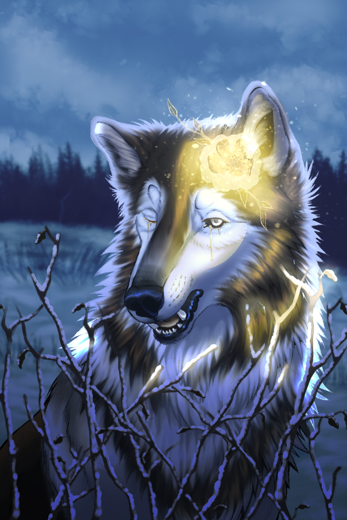IMG_5625.png