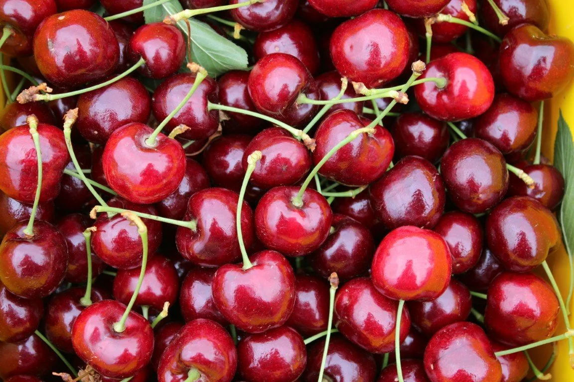 A close-up of fresh, shiny red cherries with green stems and leaves.