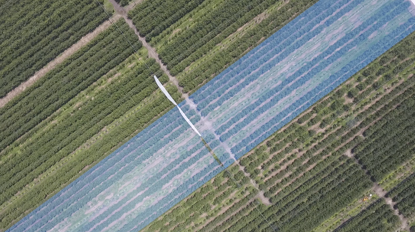 Aerial view of a farm with rows of crops, covered by blue netting or protective covering.