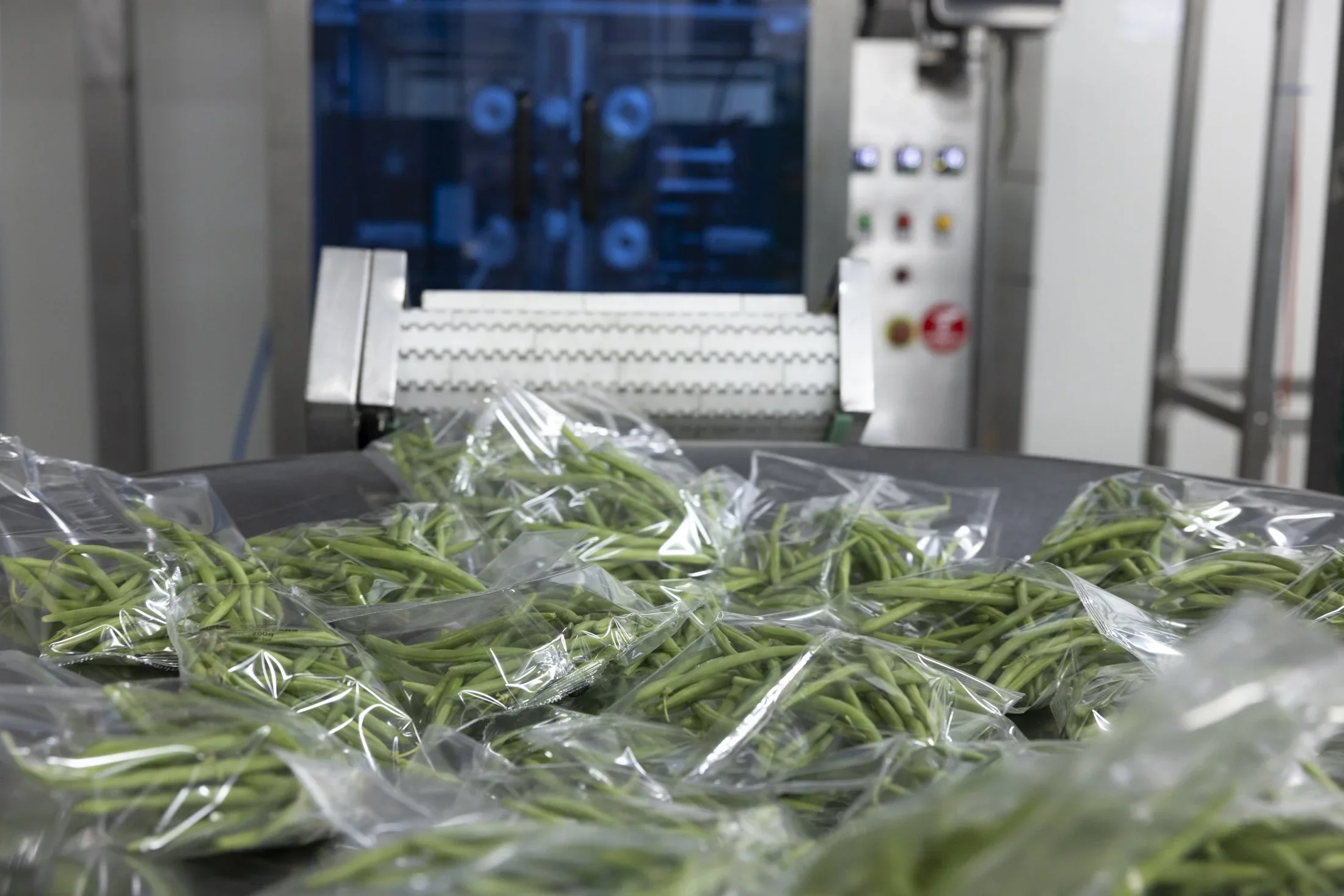 Fresh green beans in clear plastic packaging on a production line with industrial equipment in the background.