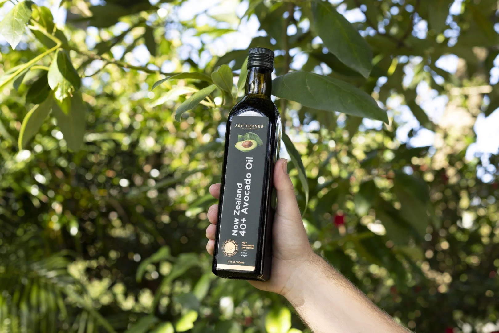 Hand holding a bottle of New Zealand avocado oil in front of green avocado tree leaves.