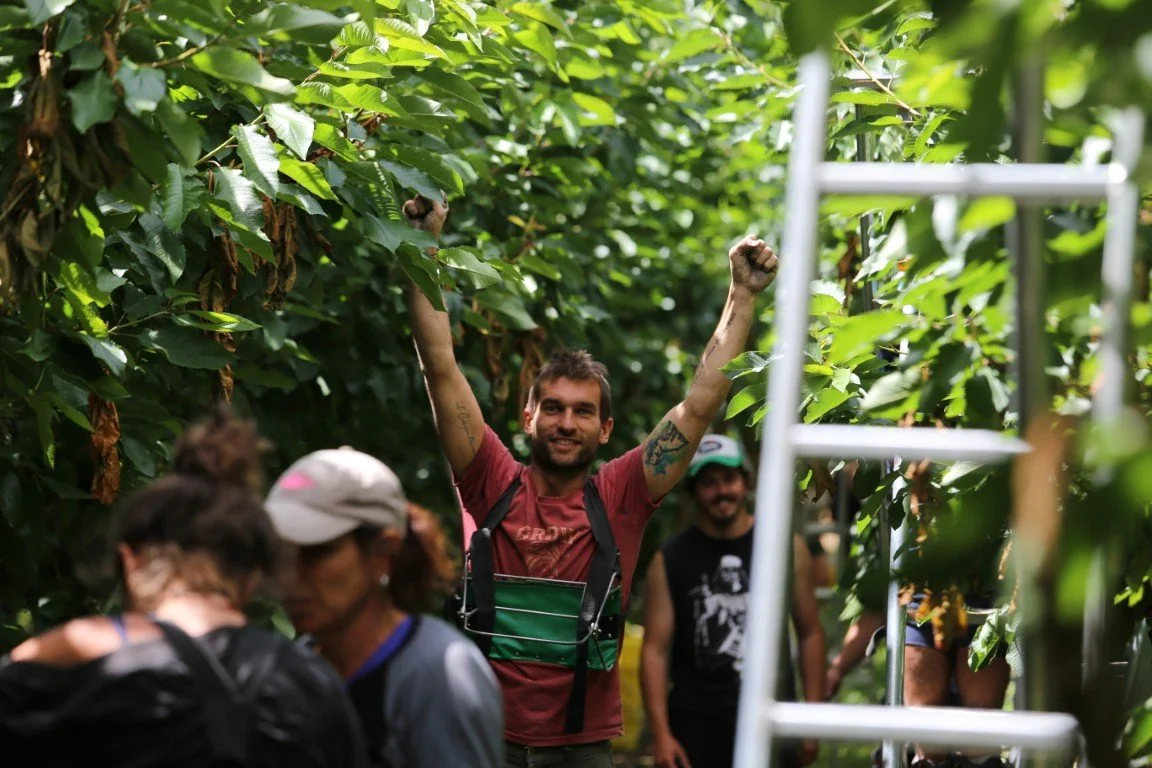 A man celebrating with arms raised in a lush green outdoor setting, surrounded by other people and a ladder.