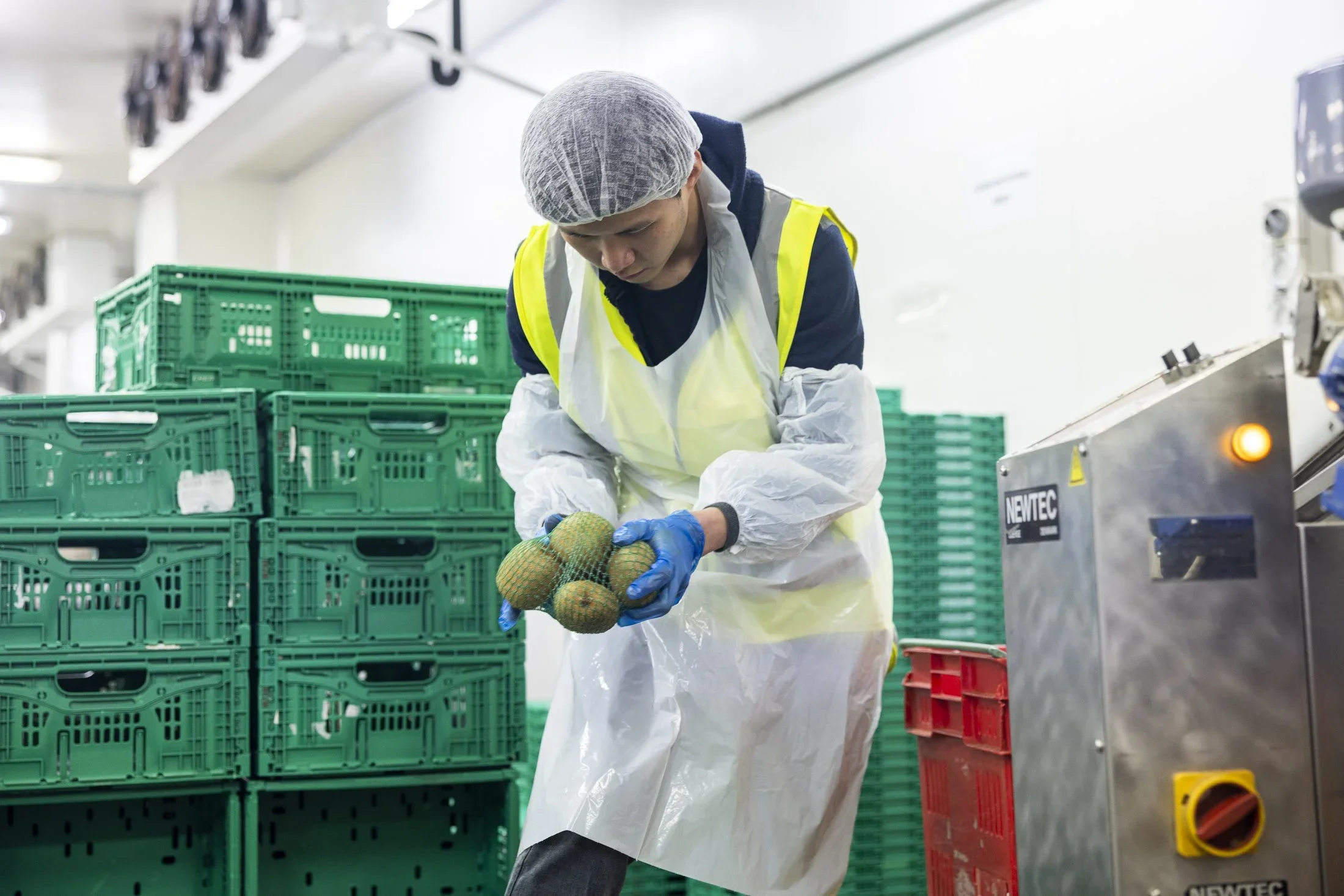 A worker in protective clothing handling a netted bunch of small, round fruits in a processing facility with green plastic crates and machinery.