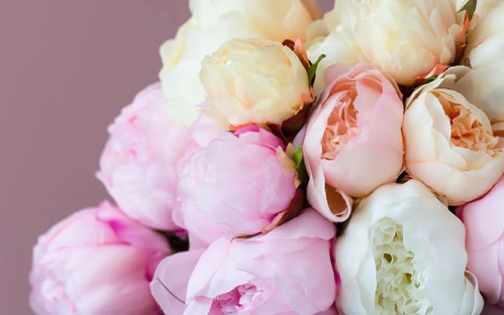 Close-up of a bouquet of soft pink, white, and cream-colored peonies