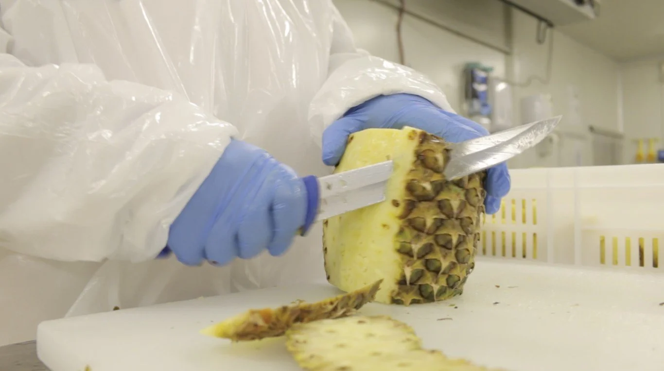 A person wearing blue gloves and a transparent plastic coat slicing a pineapple with a large knife in a commercial kitchen or food processing facility.
