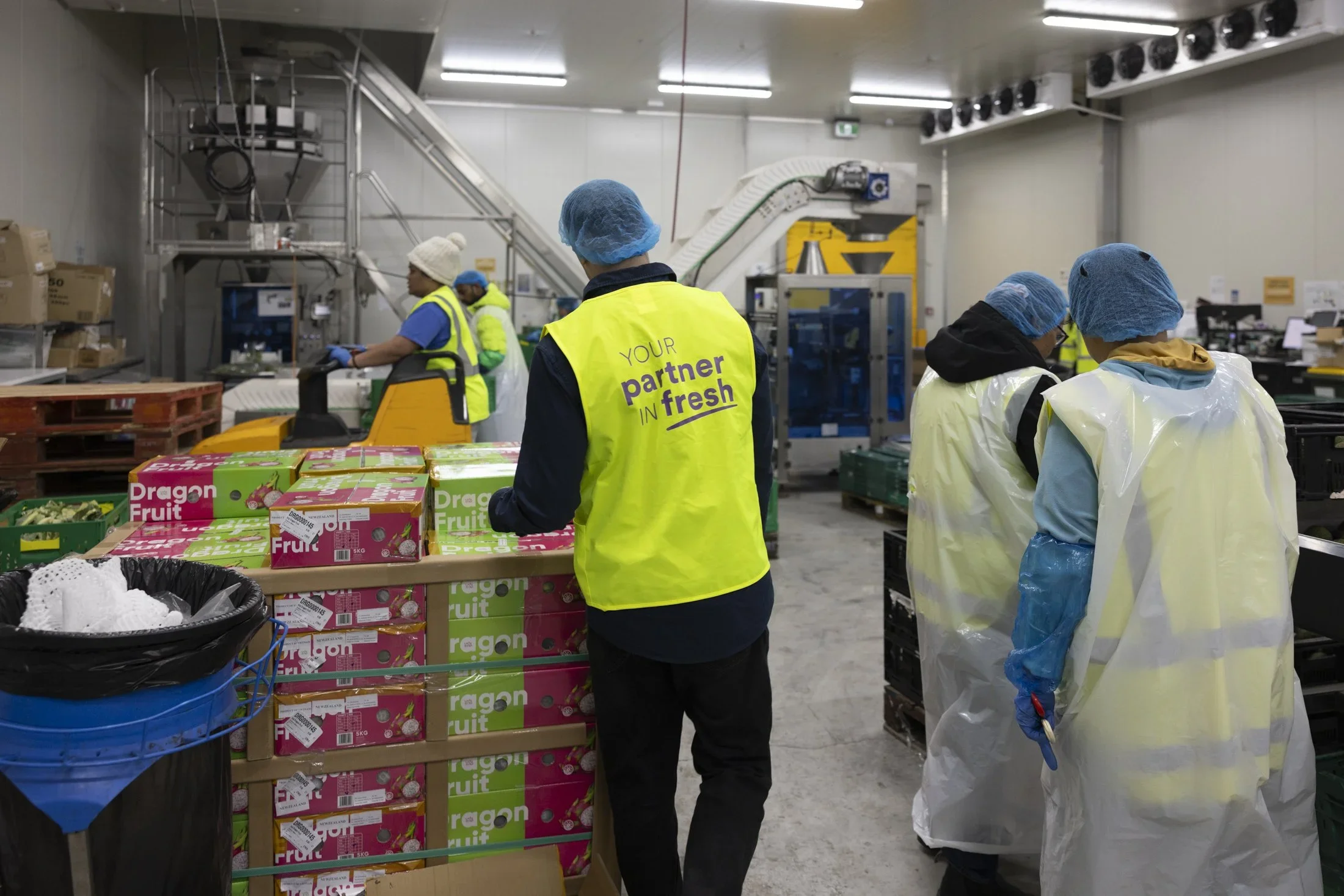 Workers in a food processing or packaging facility wearing blue hairnets, yellow vests, and plastic aprons. They are handling boxes of dragon fruit on a conveyor or work table.