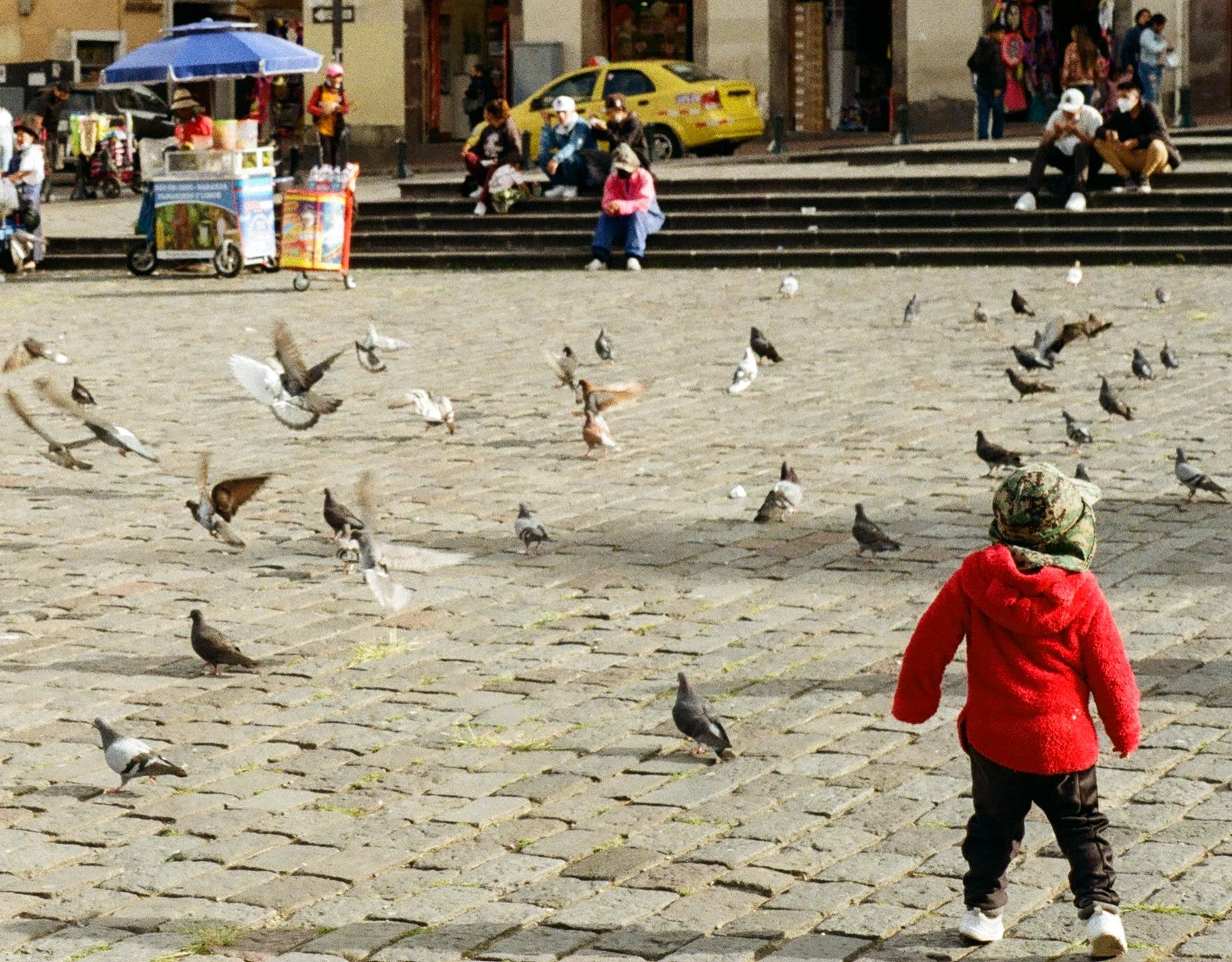 childwithbirds.JPG