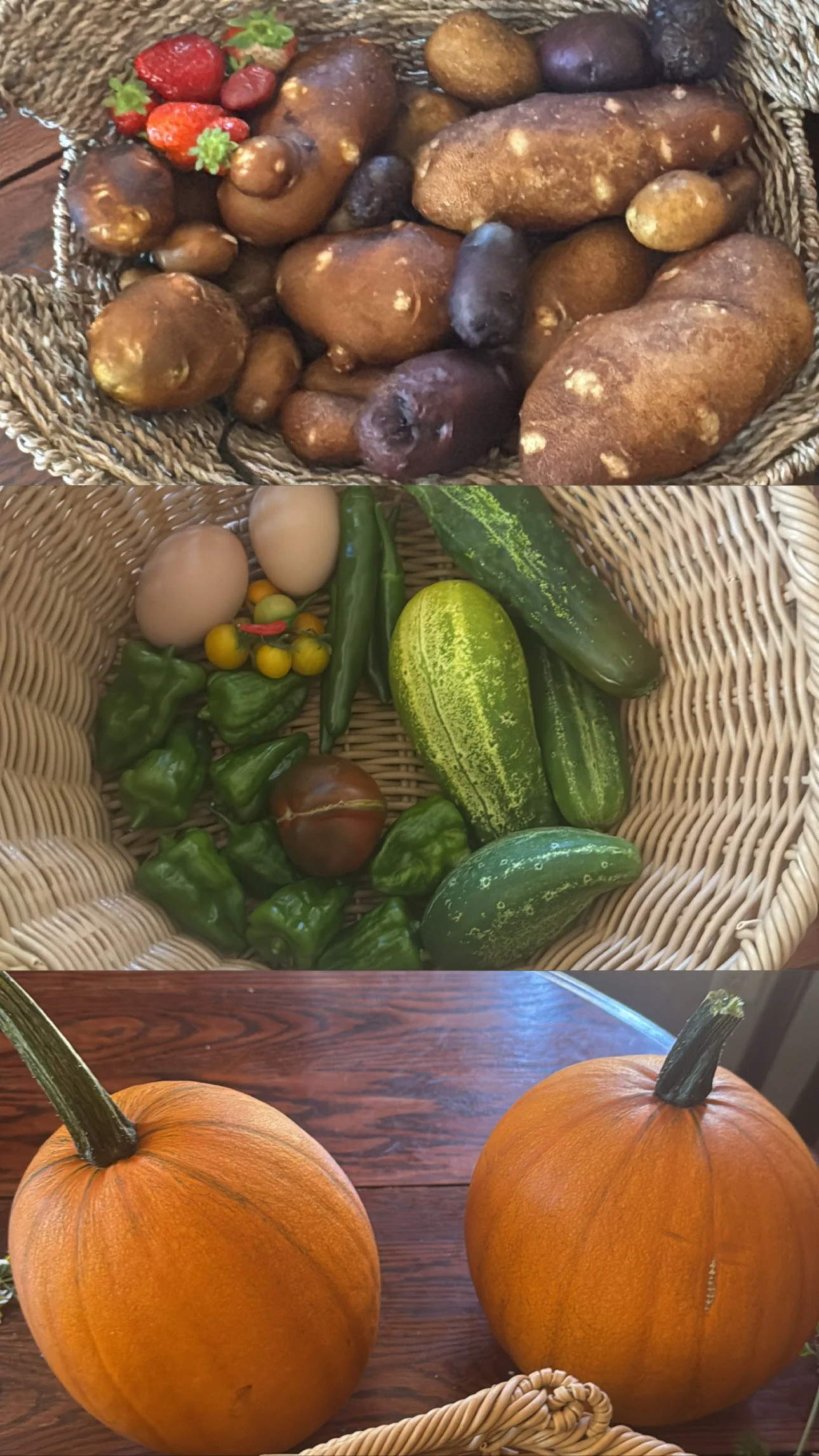 Lughnasadh: Honoring the First Harvest